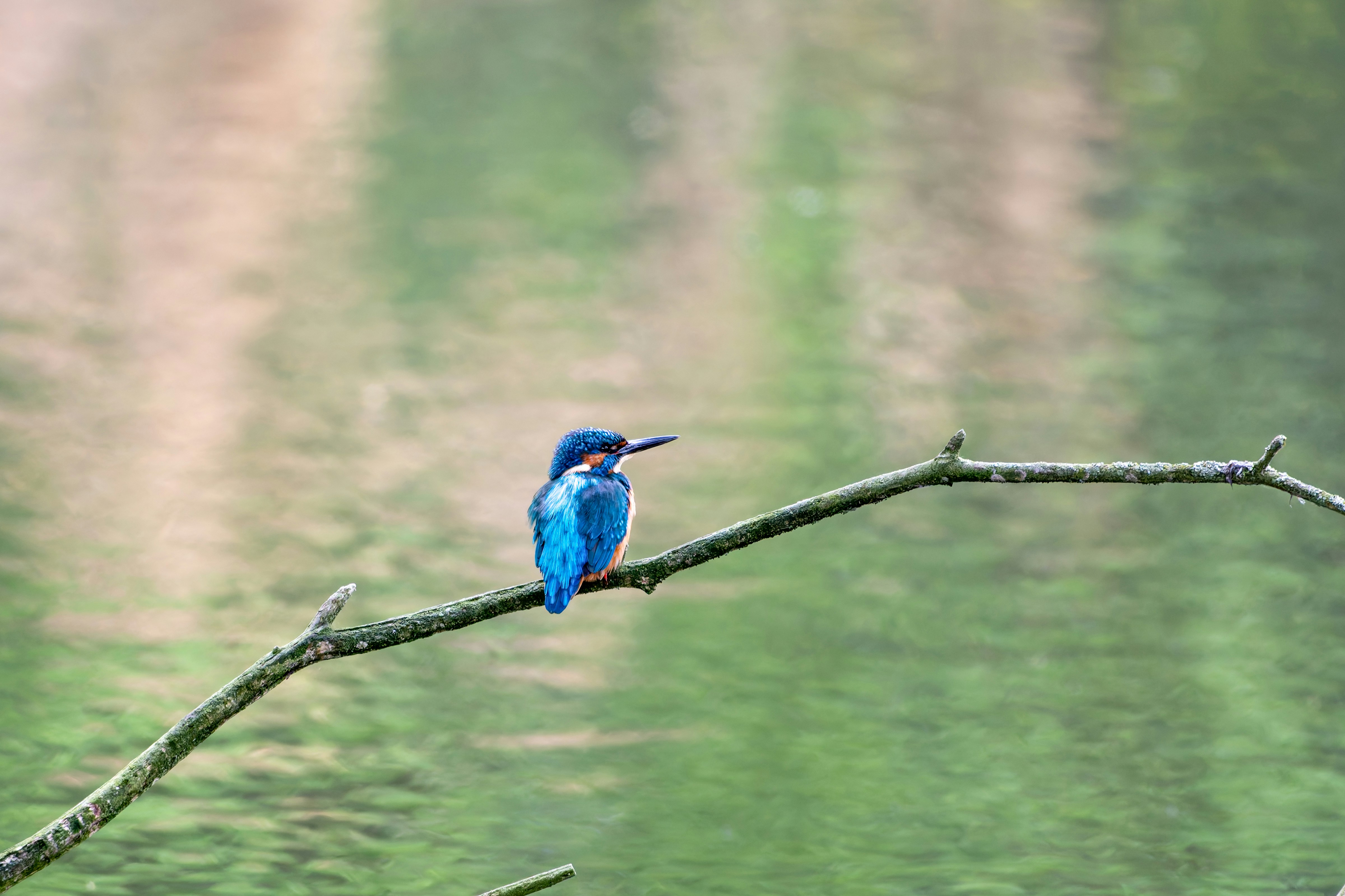 Photo by siegfriedpoepperl