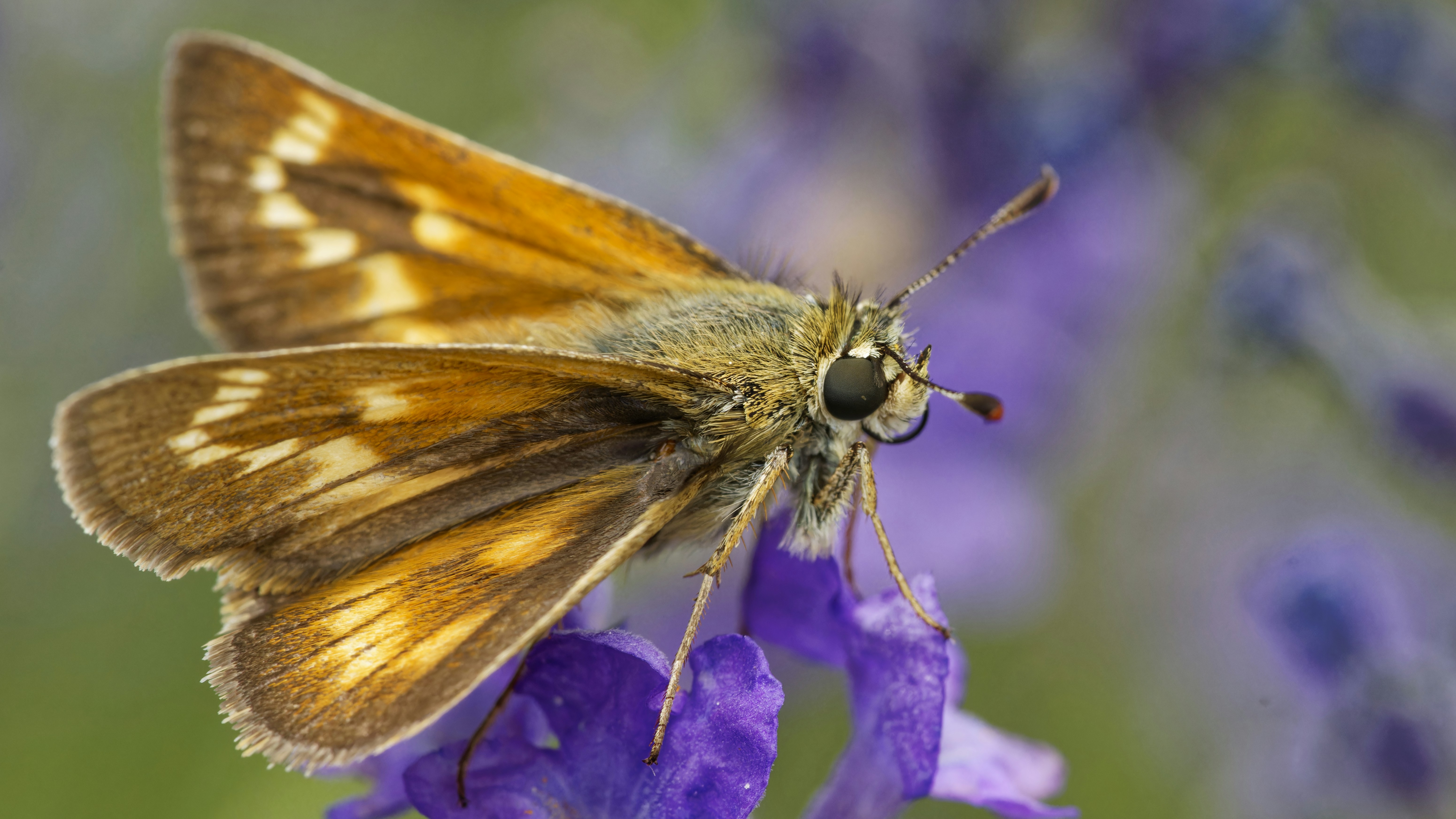 Photo by patrickbigelow_zoom_in