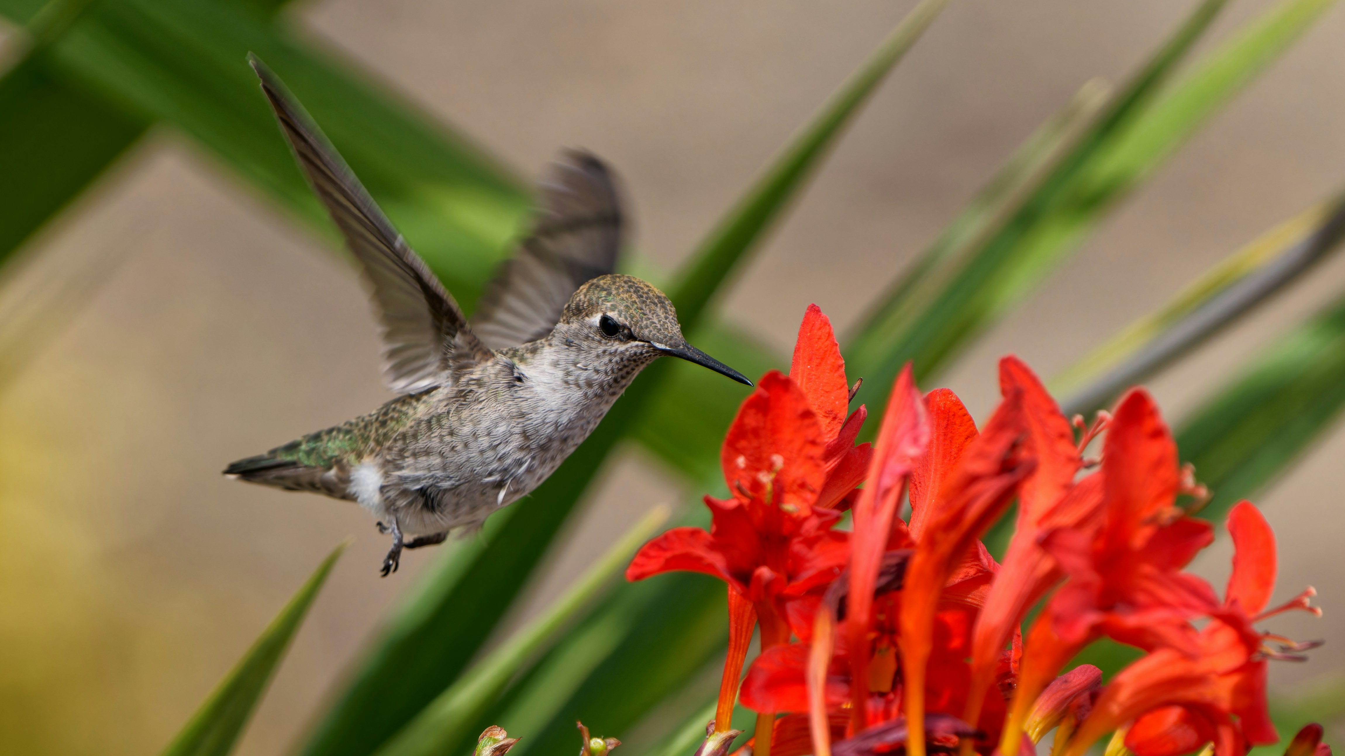 Photo by patrickbigelow_zoom_in