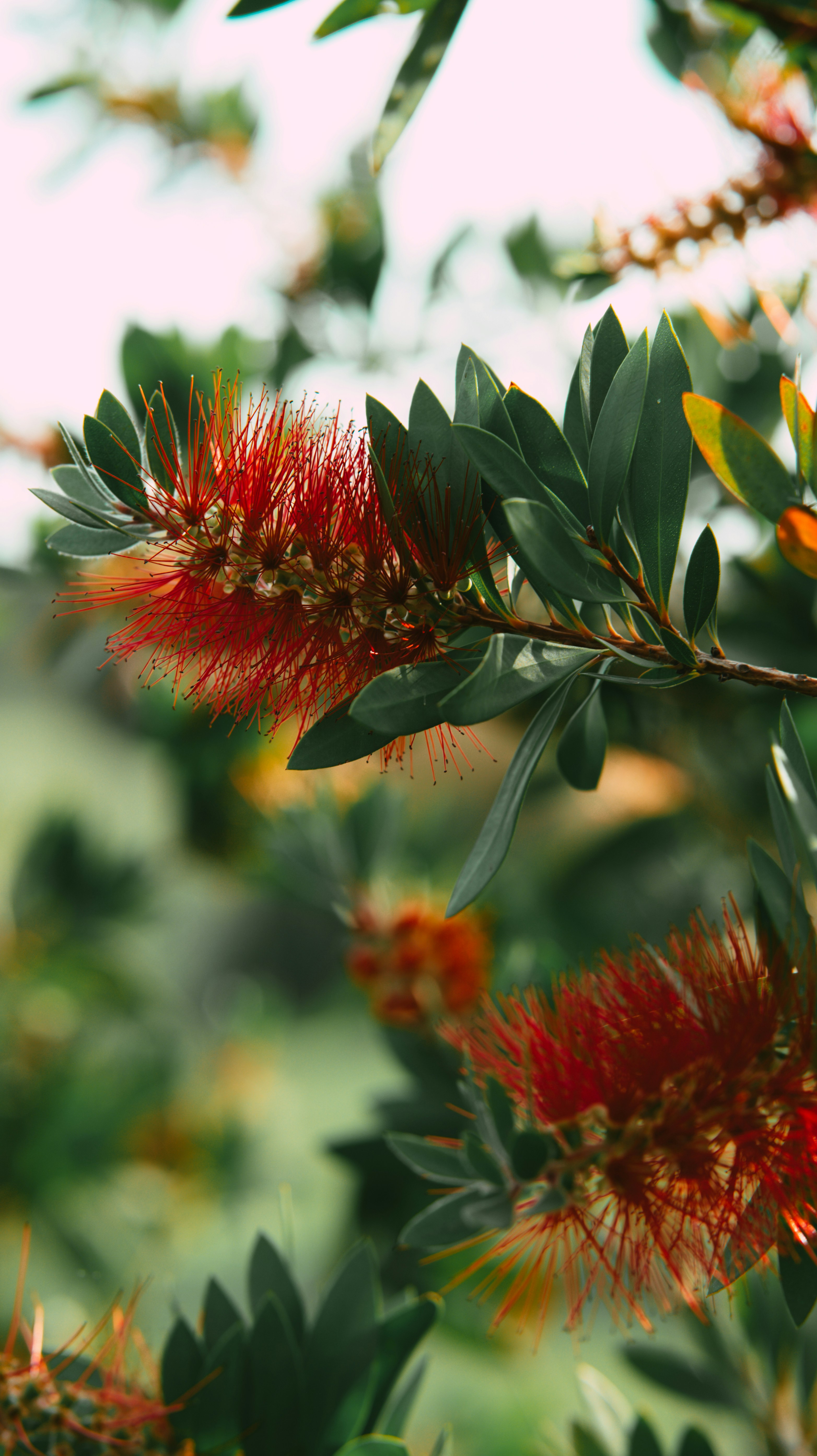 Photo by lahistoriadestef