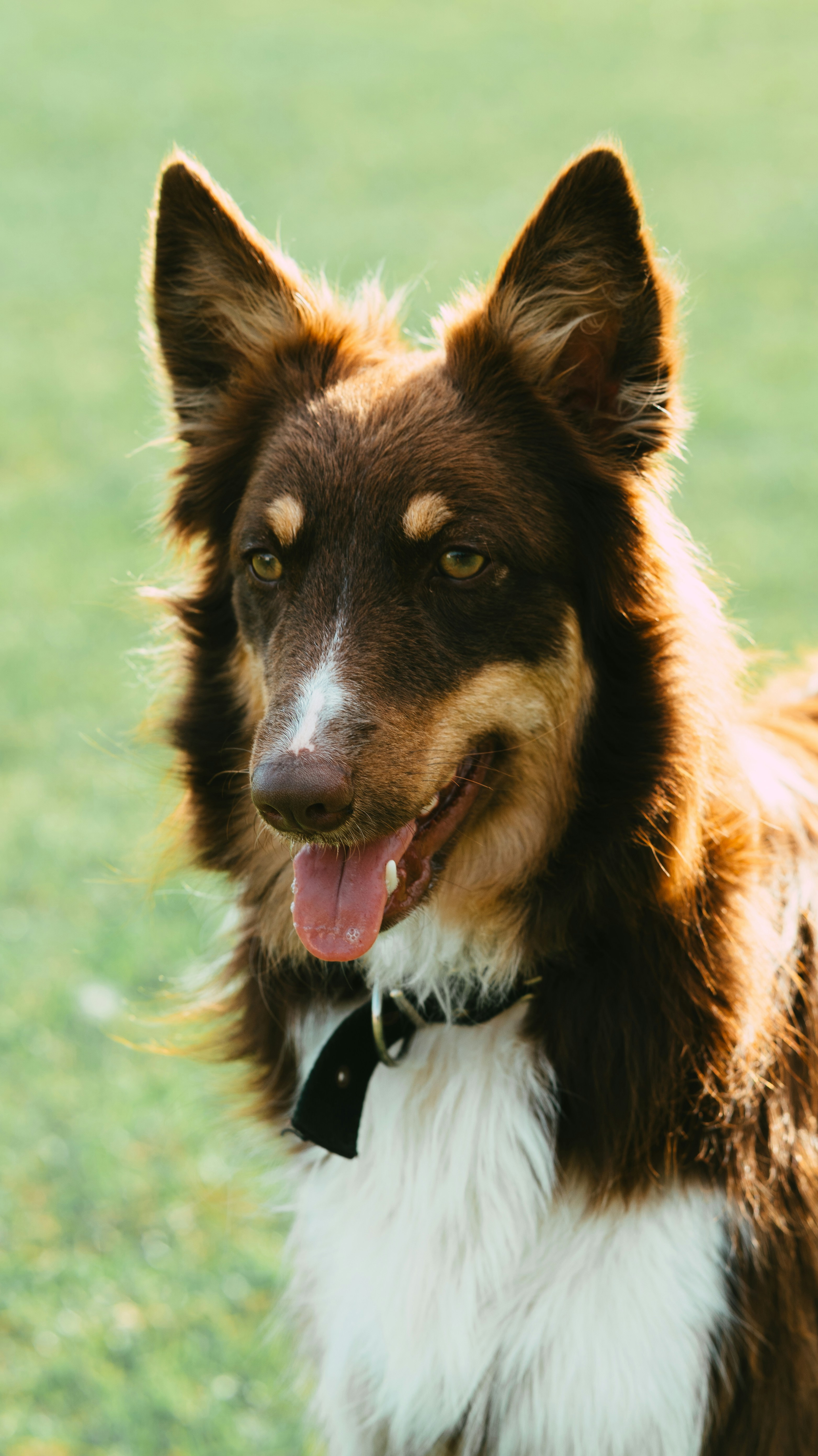 Photo by lahistoriadestef