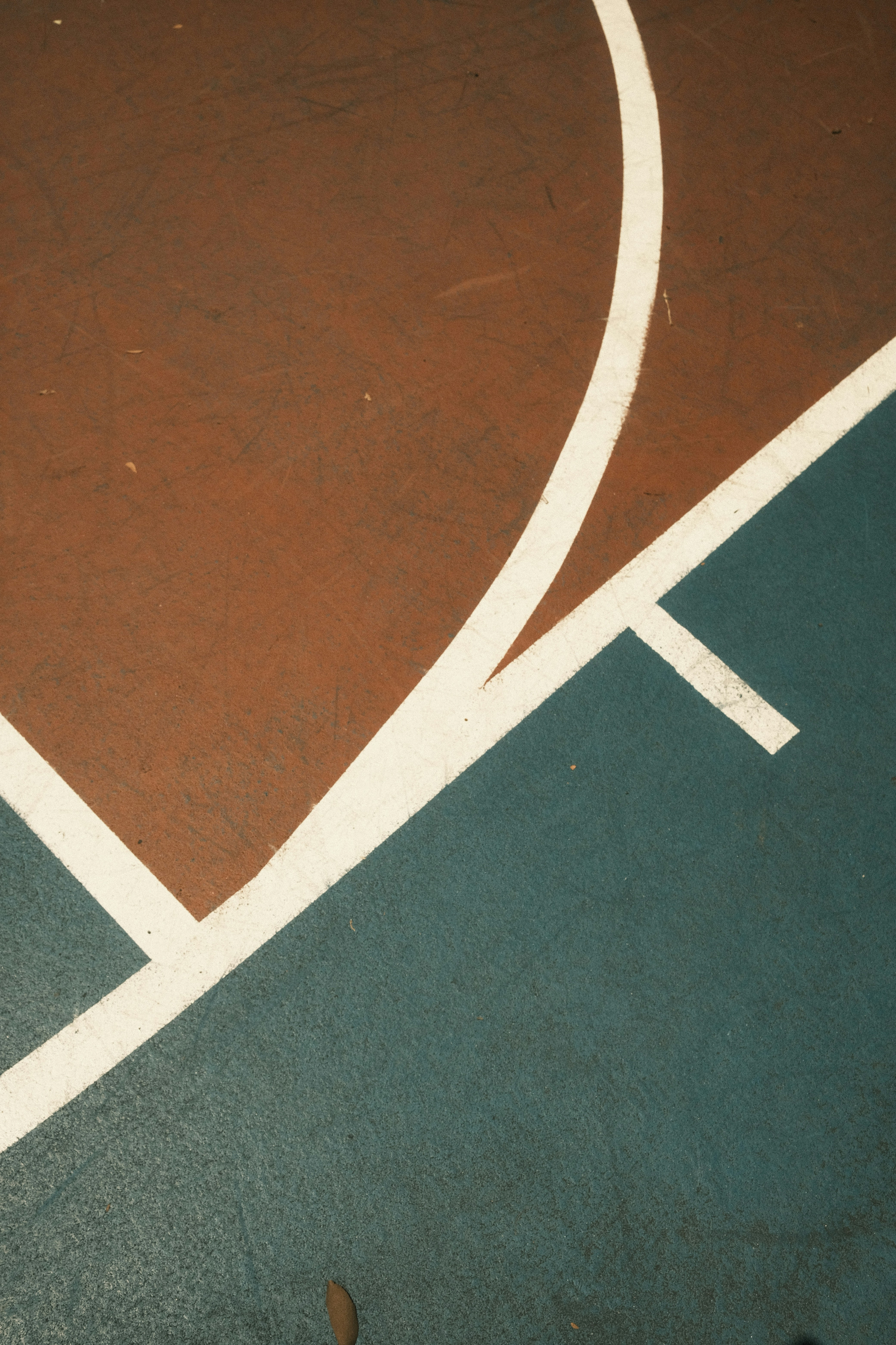 Basketball court markings on the floor.