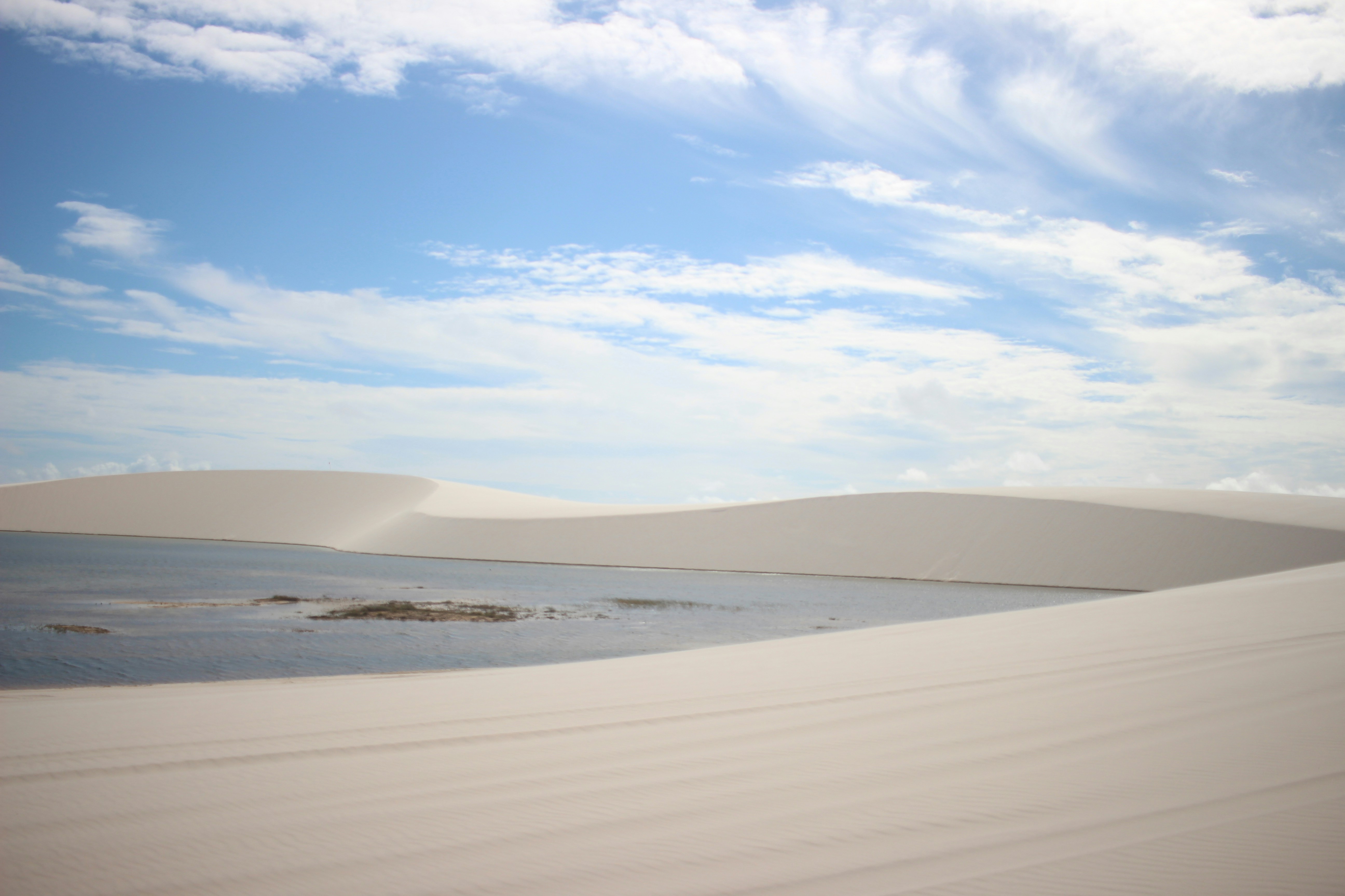 Photo by otaciliomaia