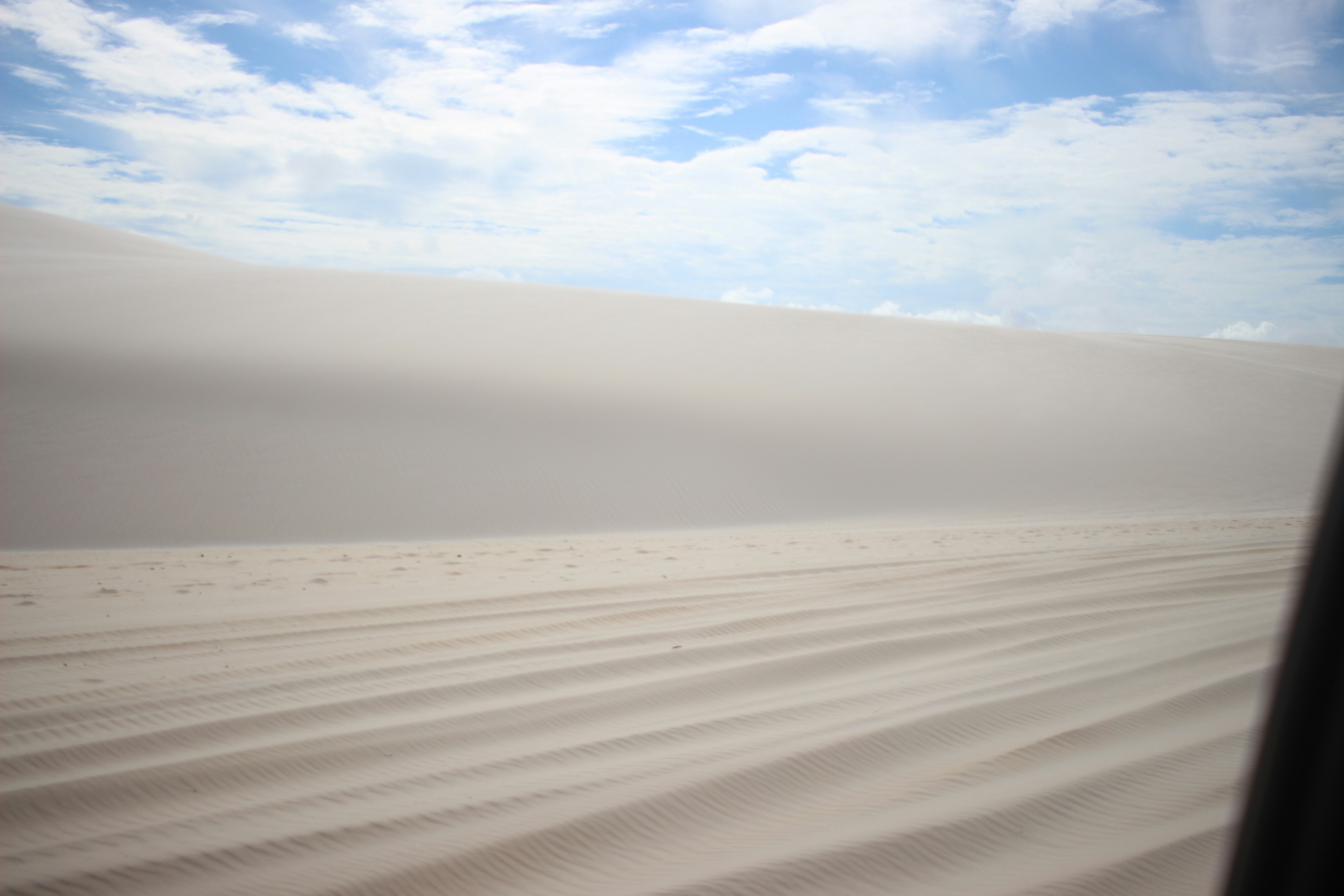 Photo by otaciliomaia