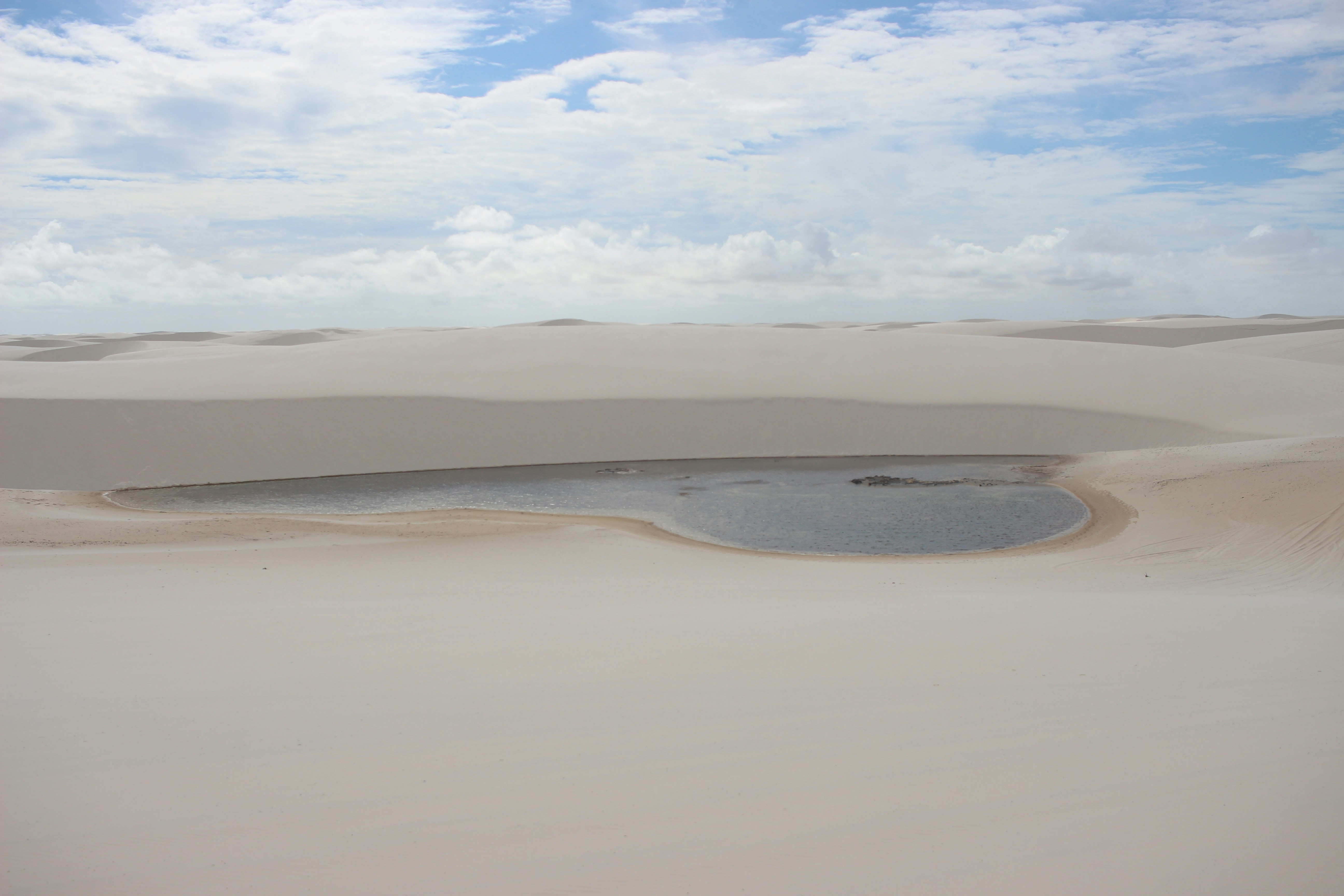 Photo by otaciliomaia