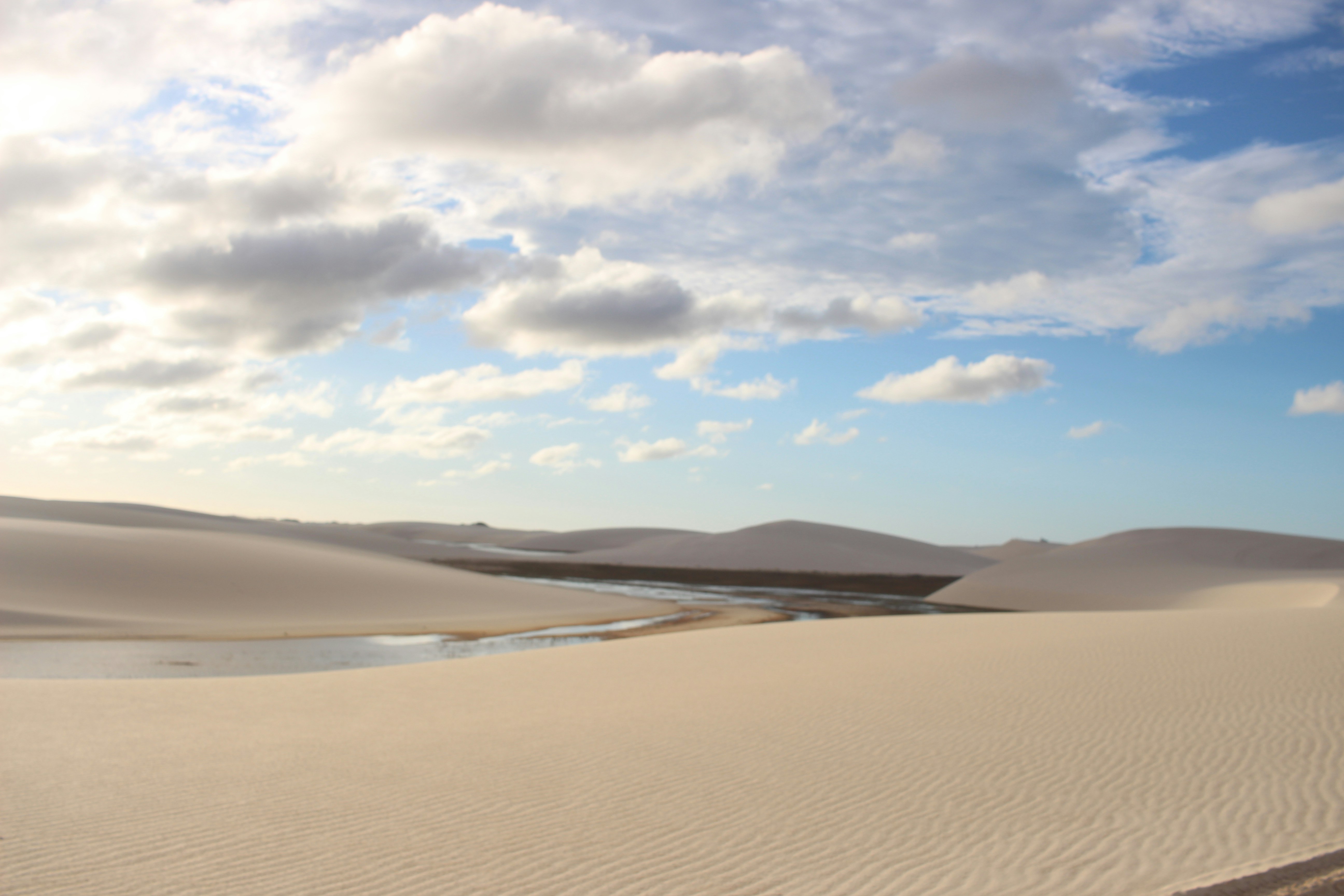 Photo by otaciliomaia