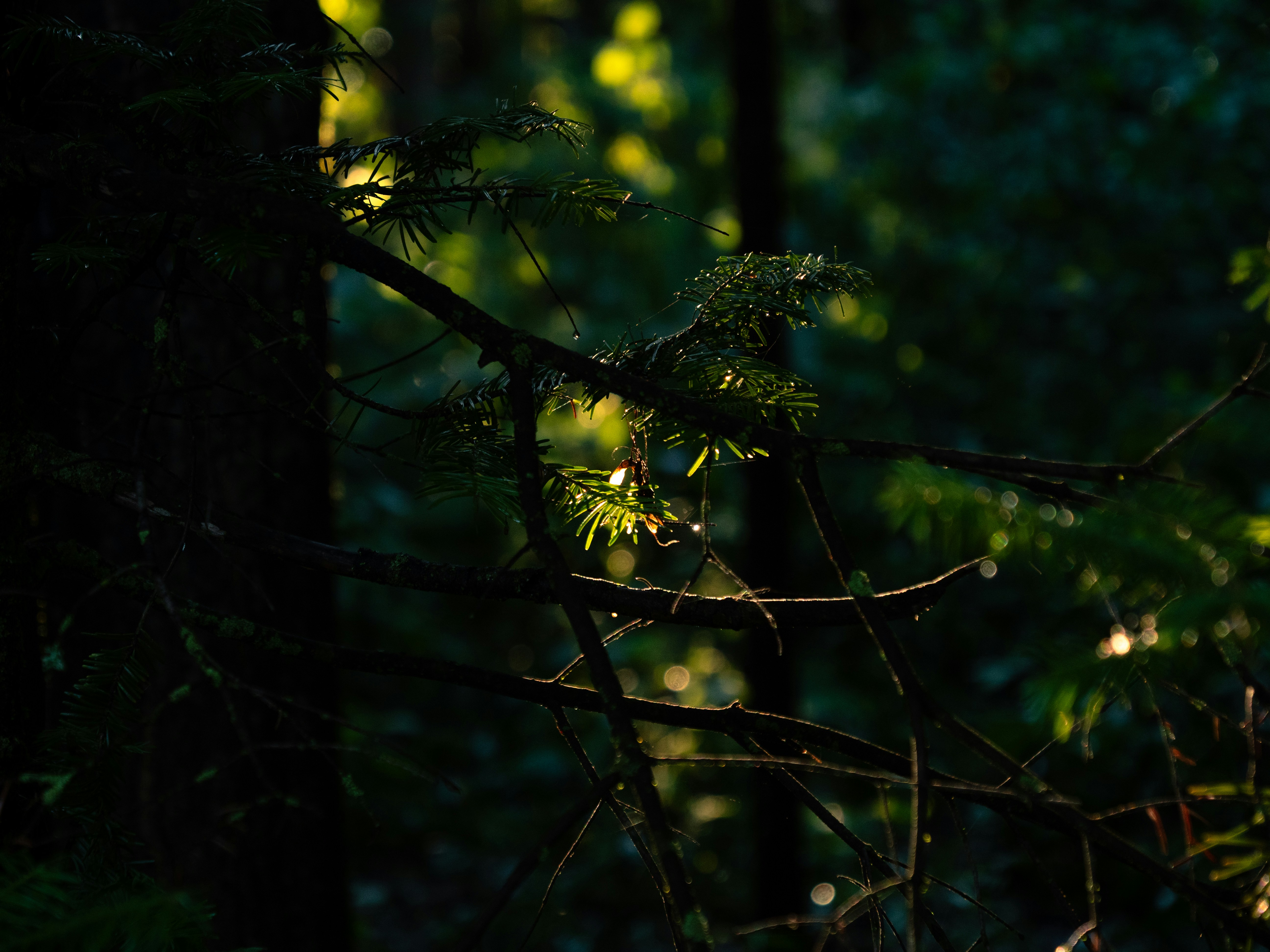 Photo by storybyphil