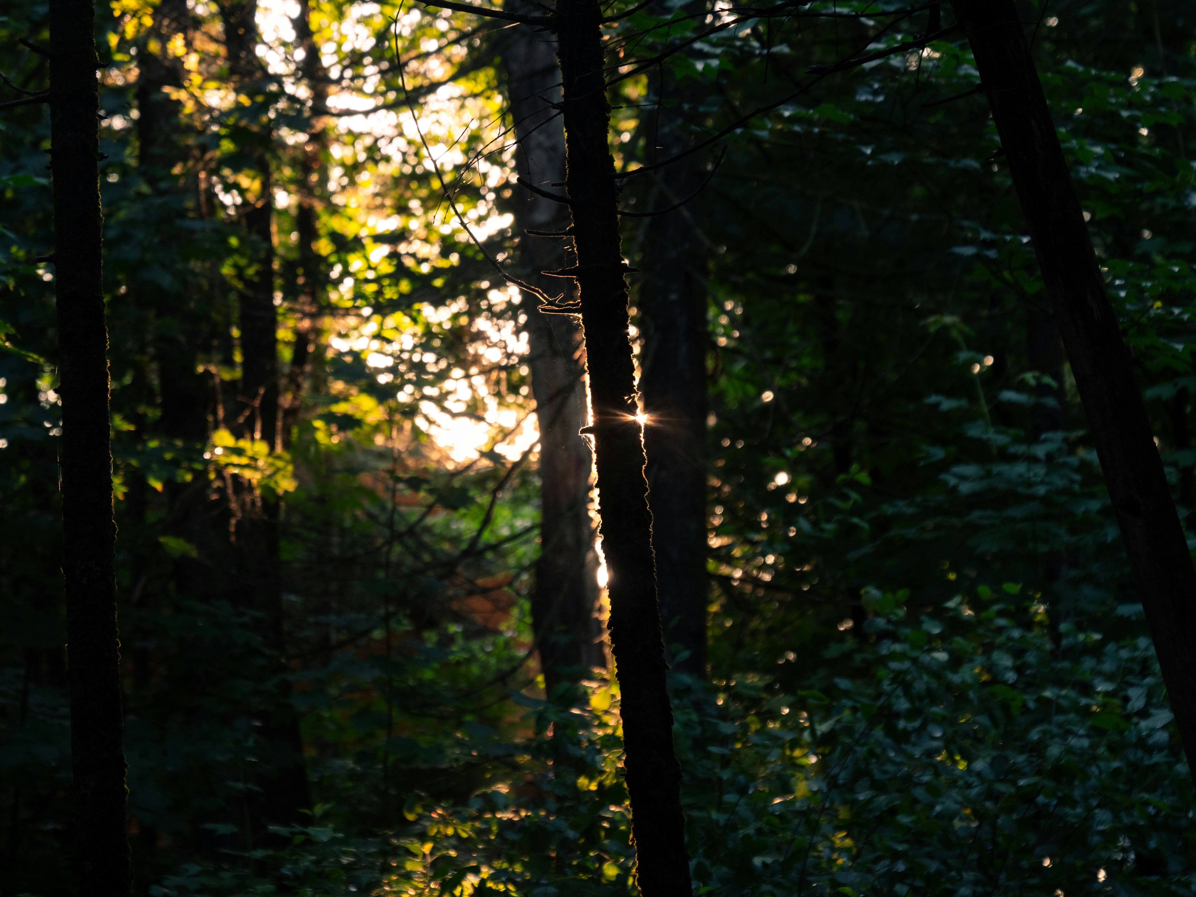 Photo by storybyphil