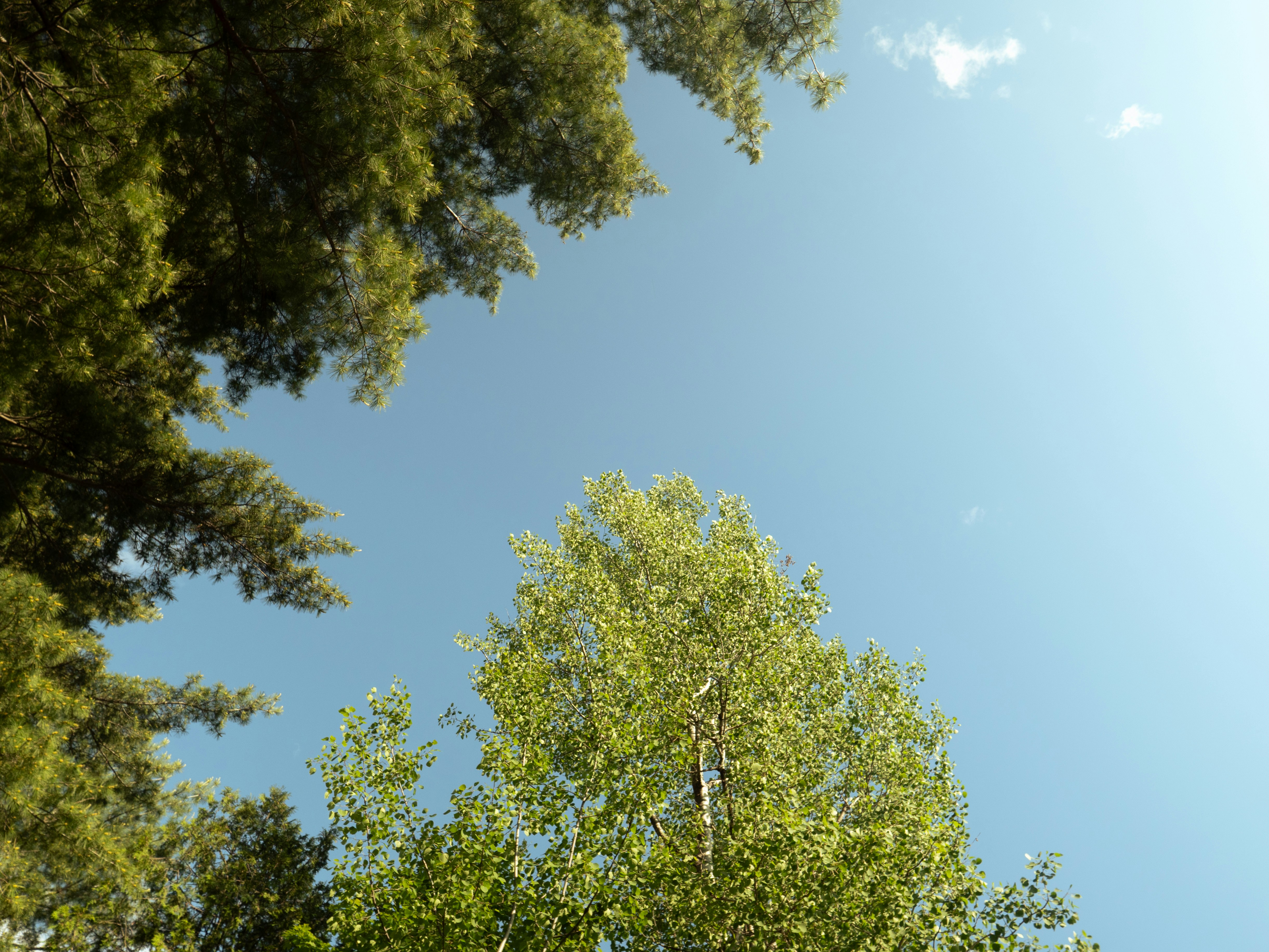 Photo by storybyphil