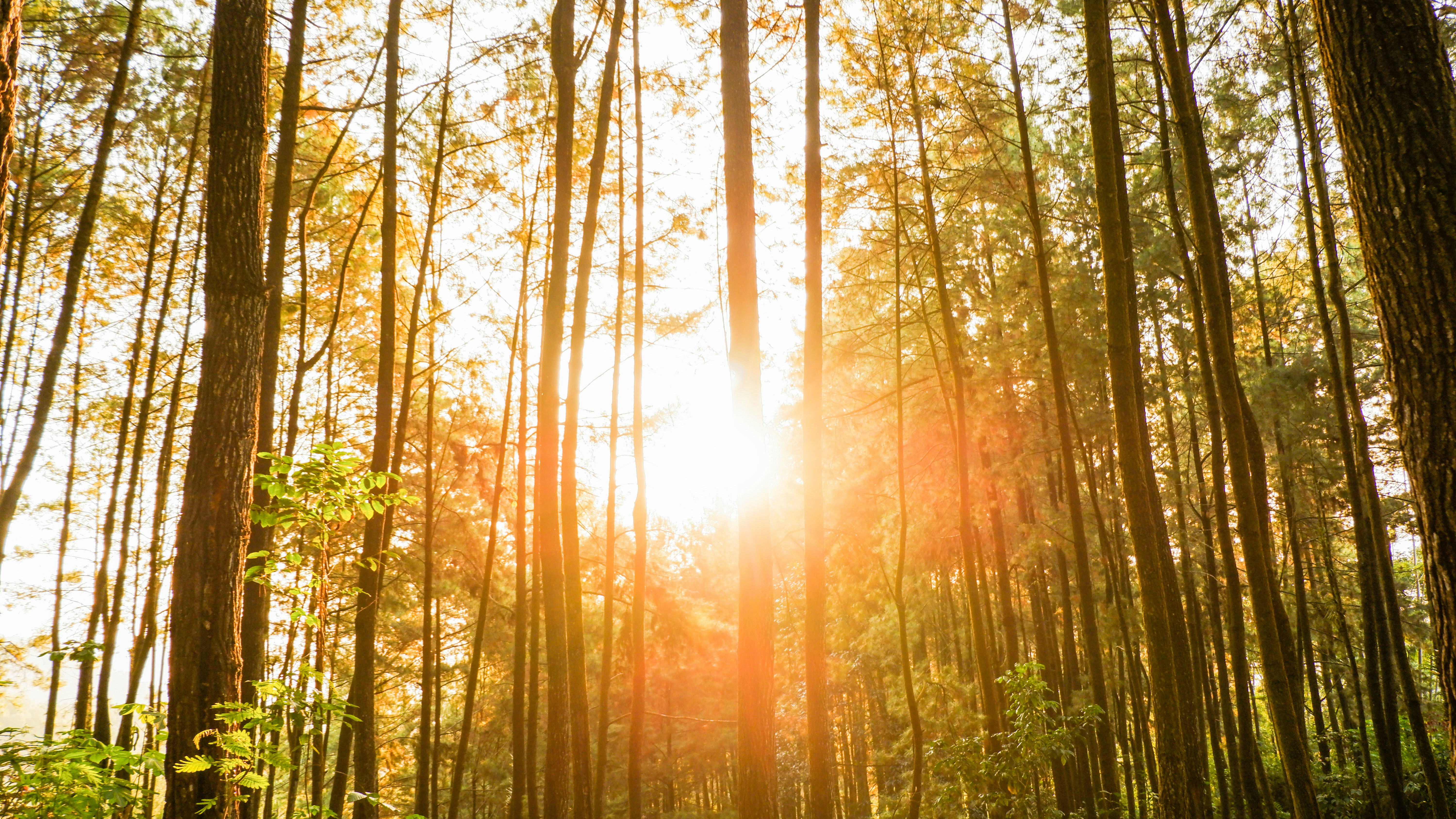 Photo by ayudiafatma