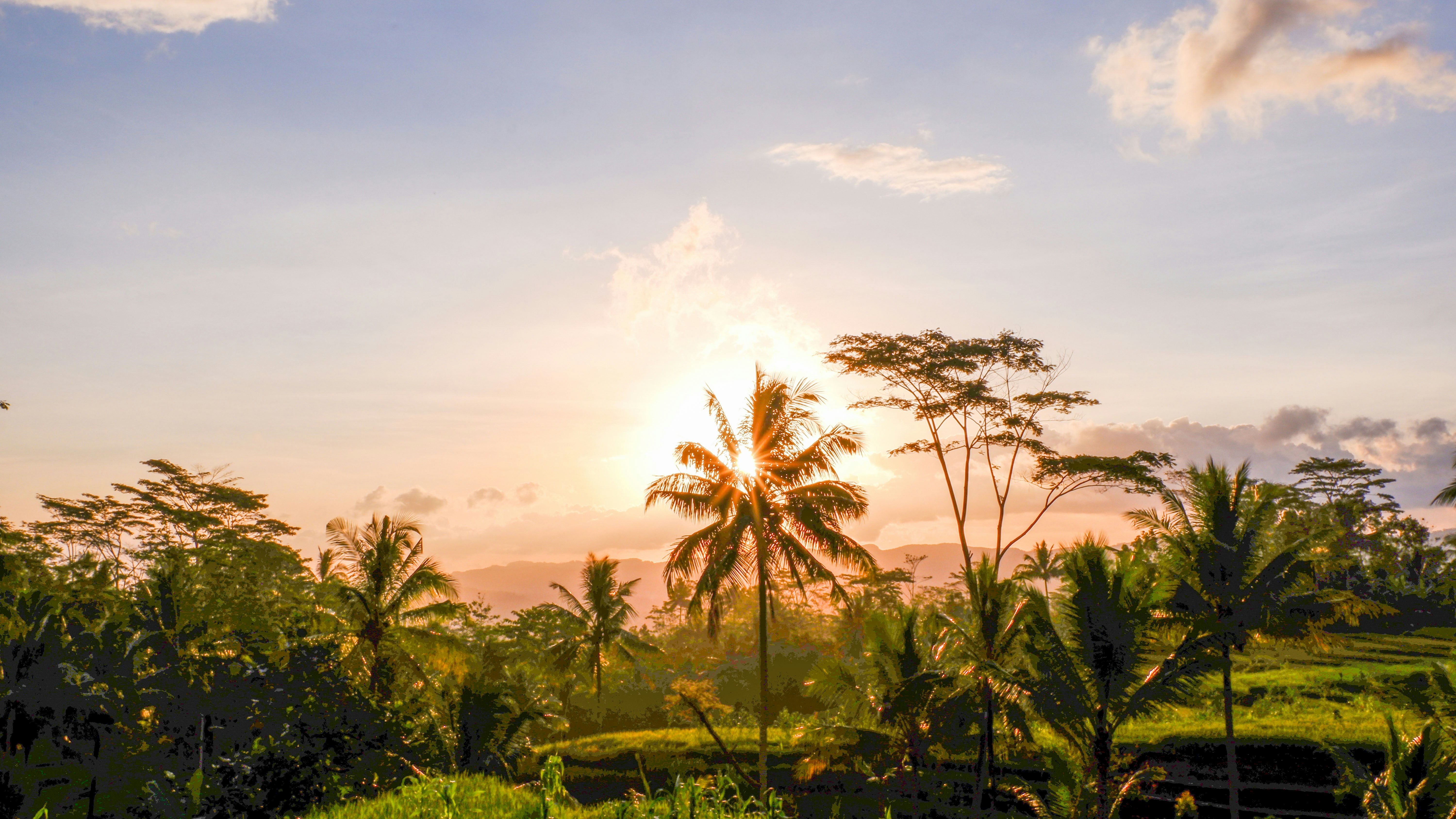 Photo by ayudiafatma