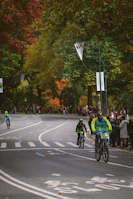 Bicyclists race on a road lined with autumn trees.