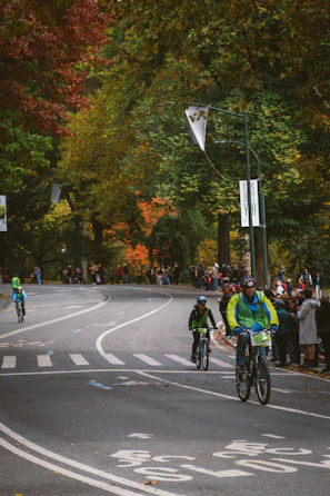 Bicyclists race on a road lined with autumn trees.
