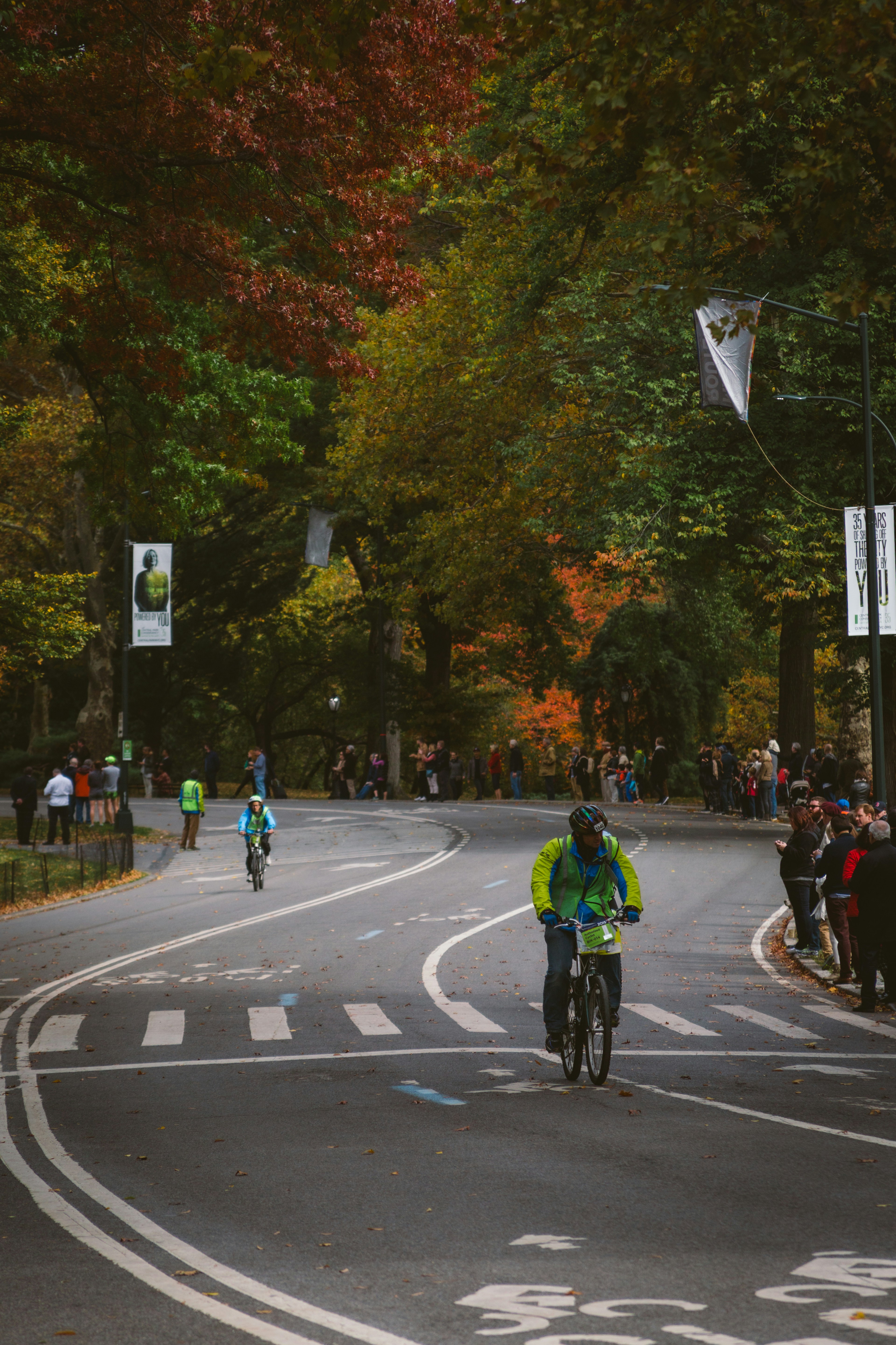 Cyclists race on a road lined with autumn trees.