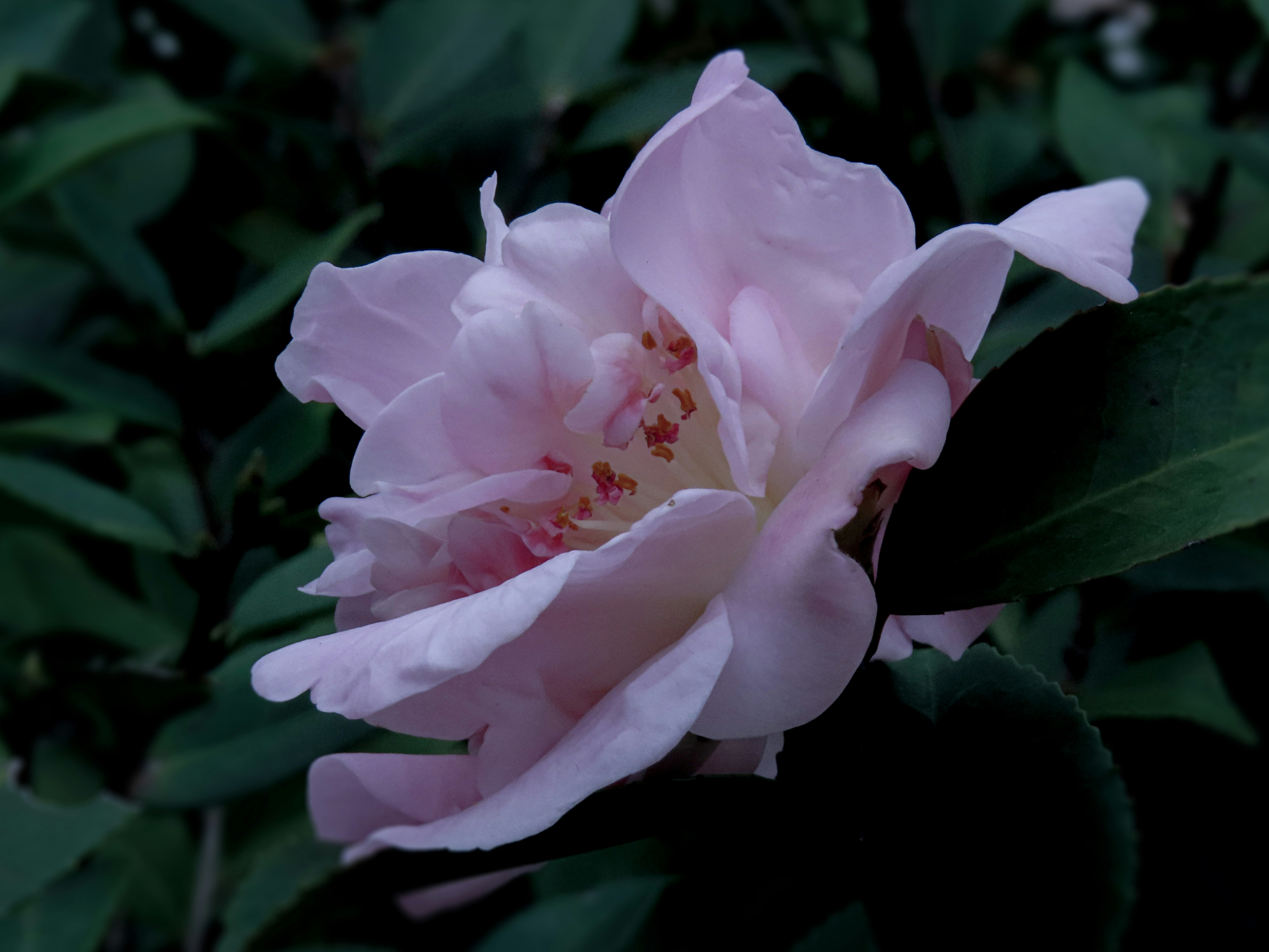 Photo by todayzcapture