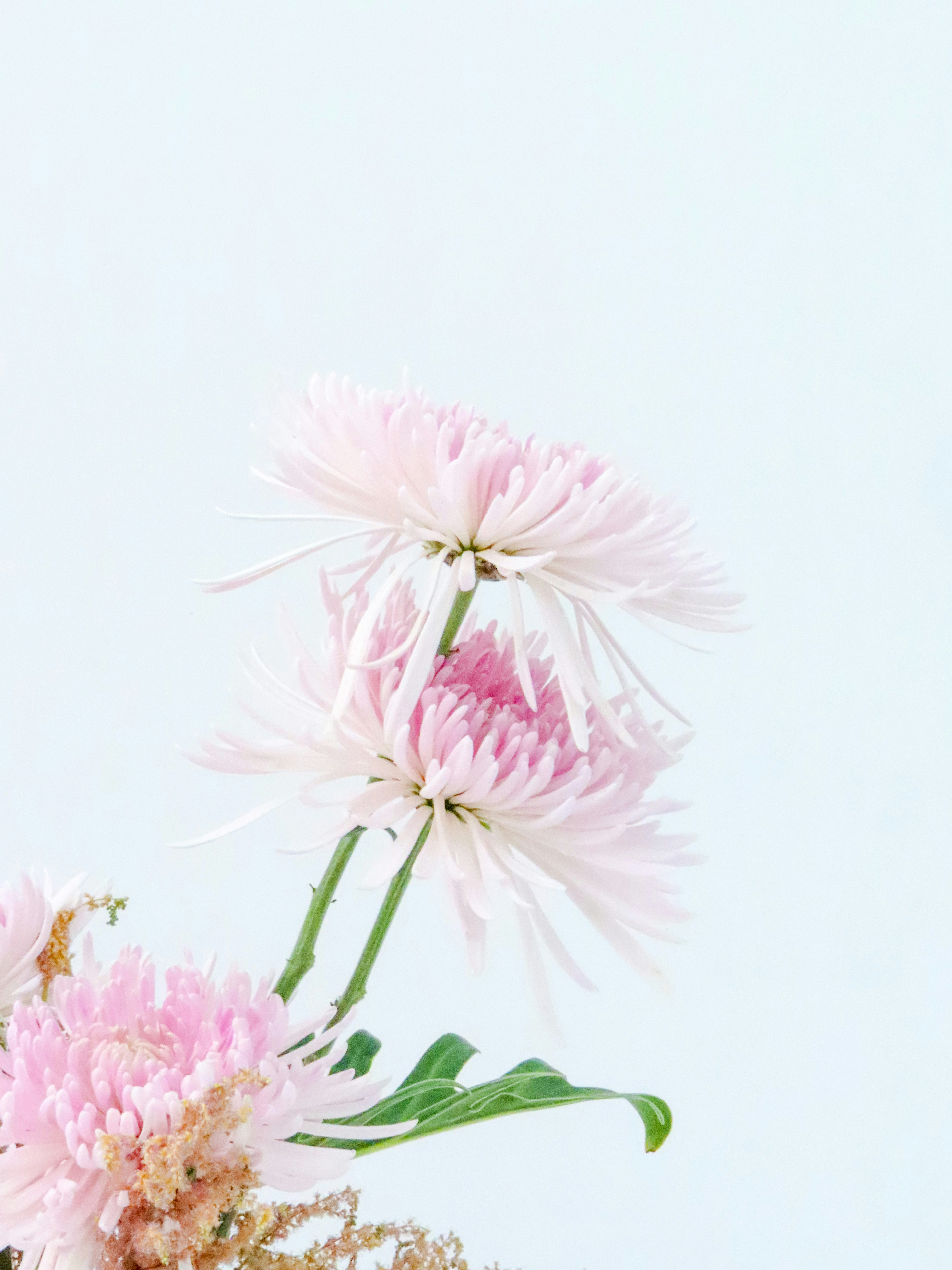 Nordic Sunset Abstraction in Light Pink and Grey Colors | SplitShire, image size:3000x4000