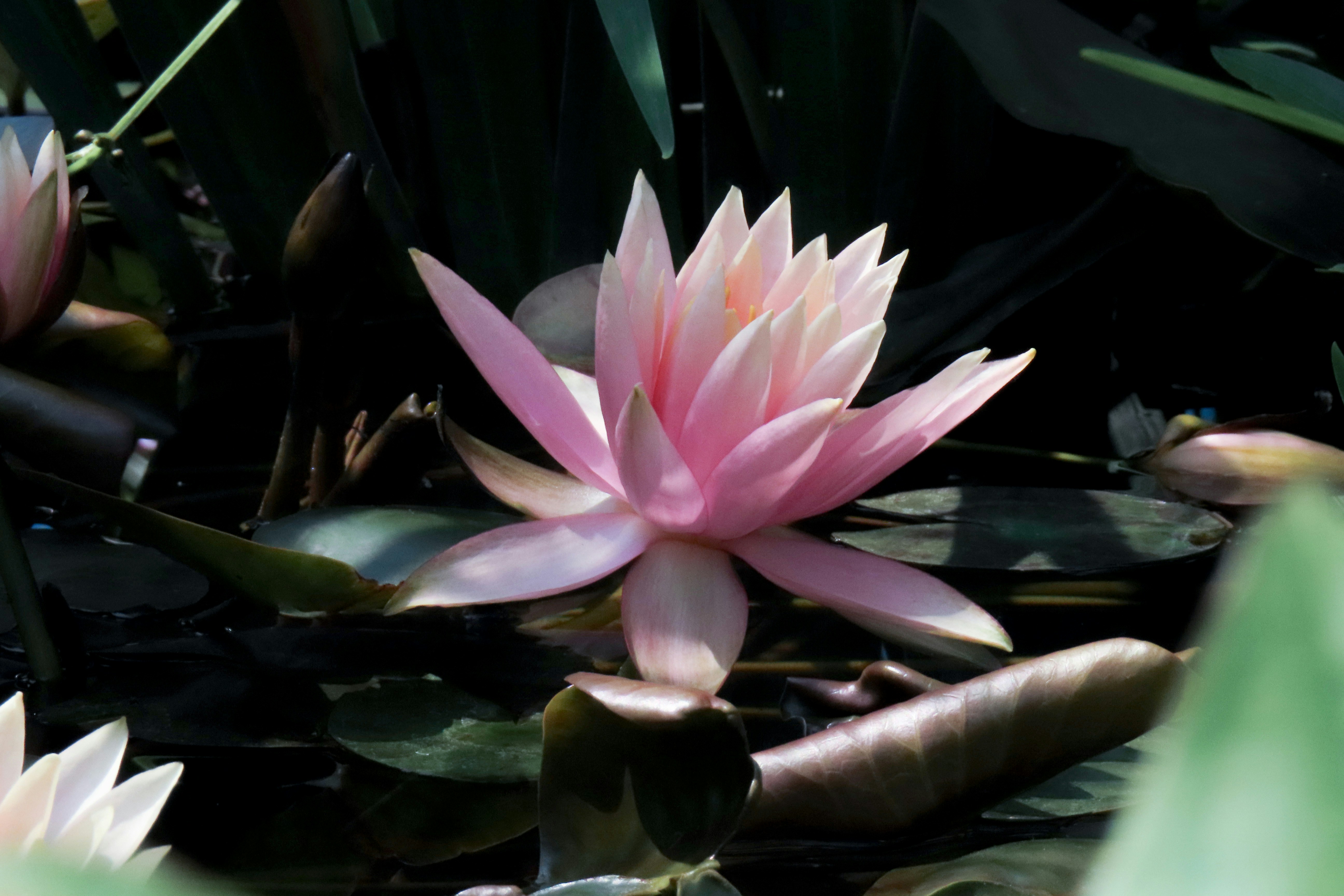 Photo by todayzcapture