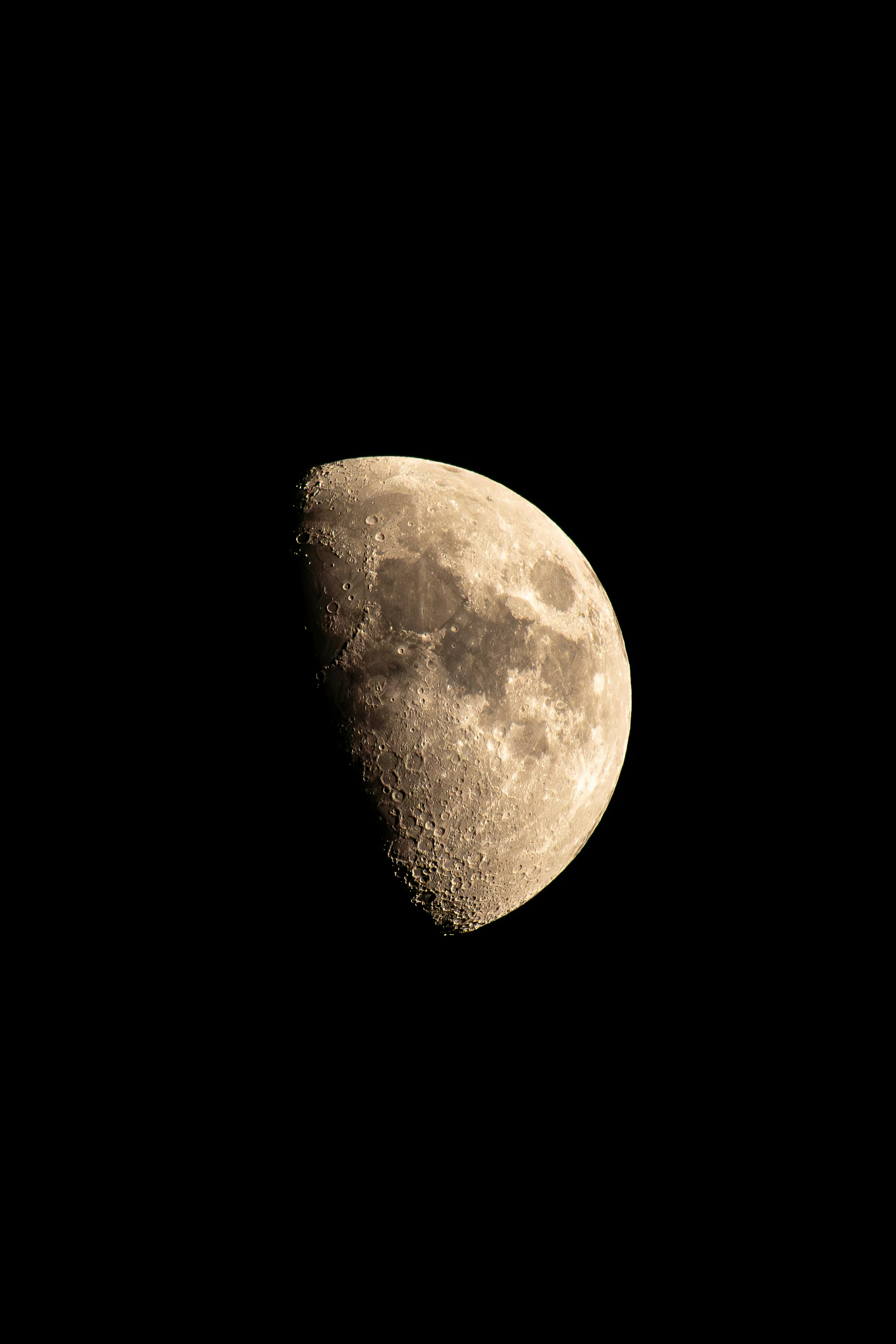 A half moon shines brightly in the dark sky