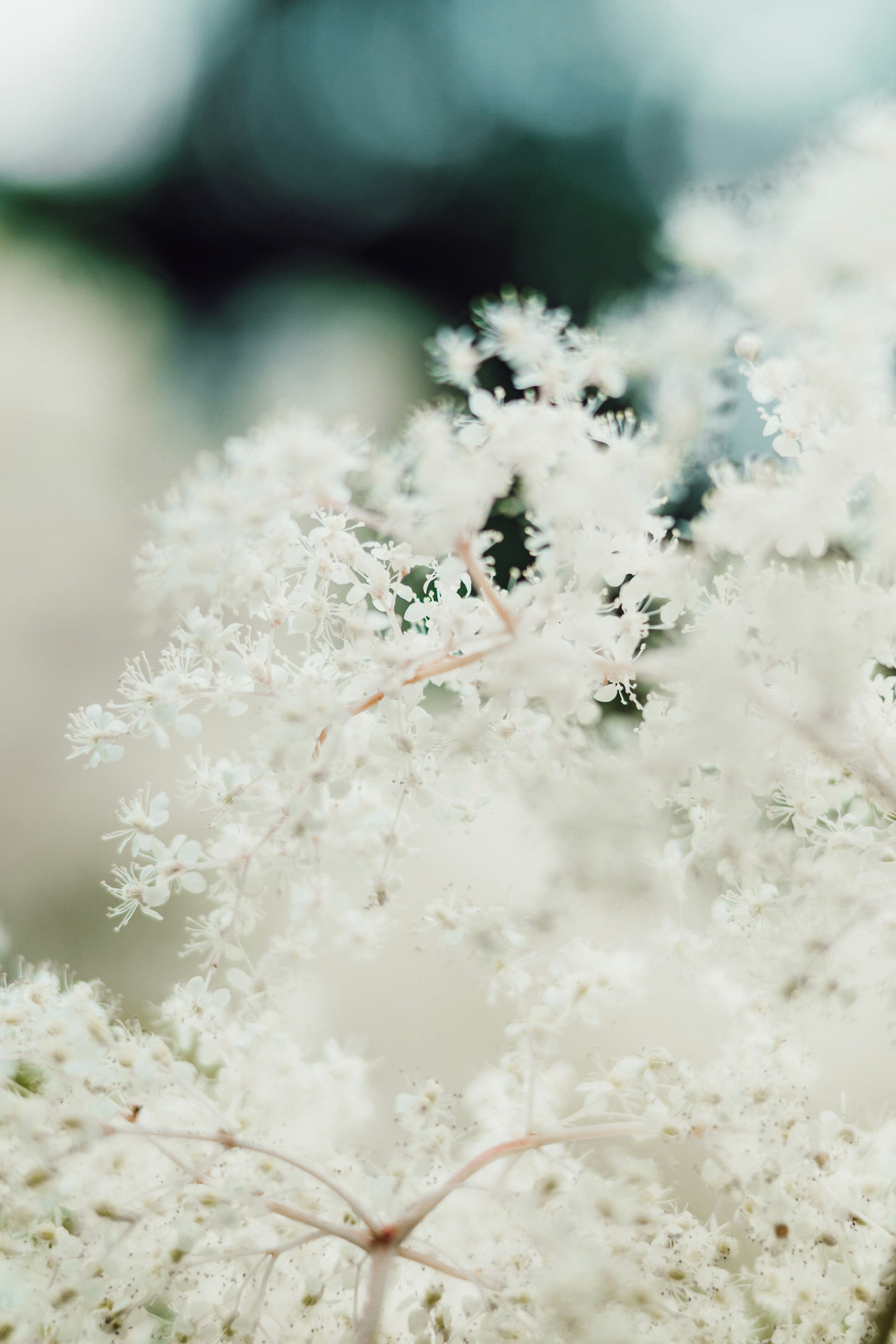 Photo by anamnesis33