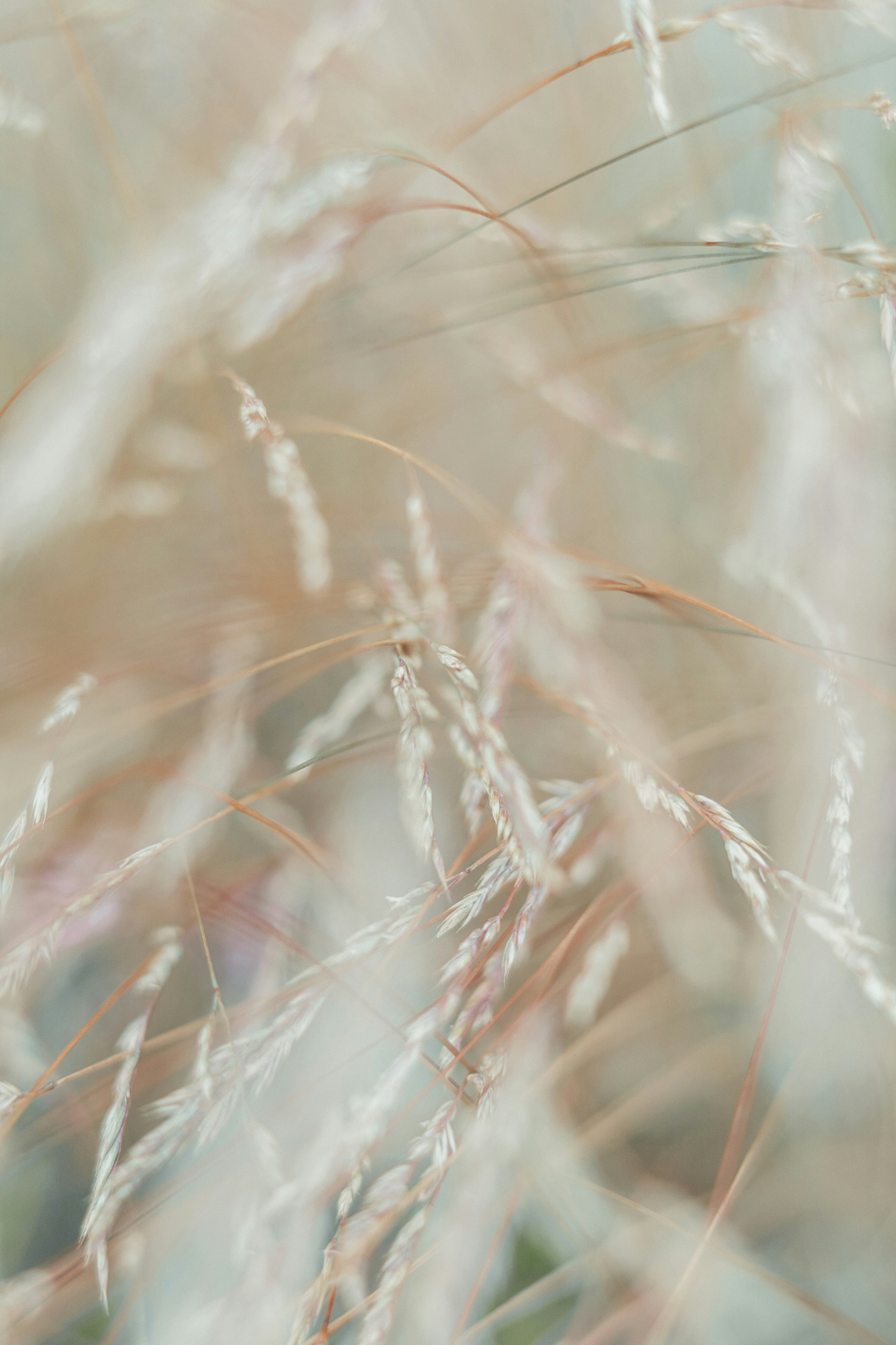 Photo by anamnesis33