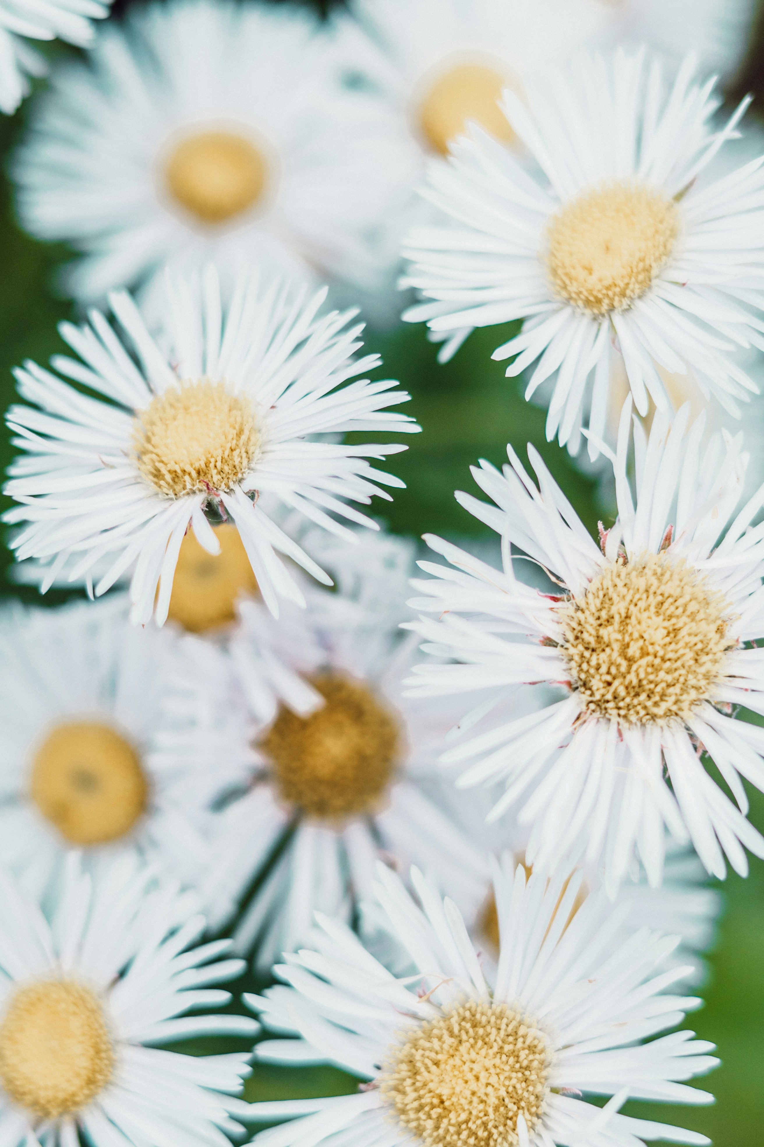 Photo by anamnesis33