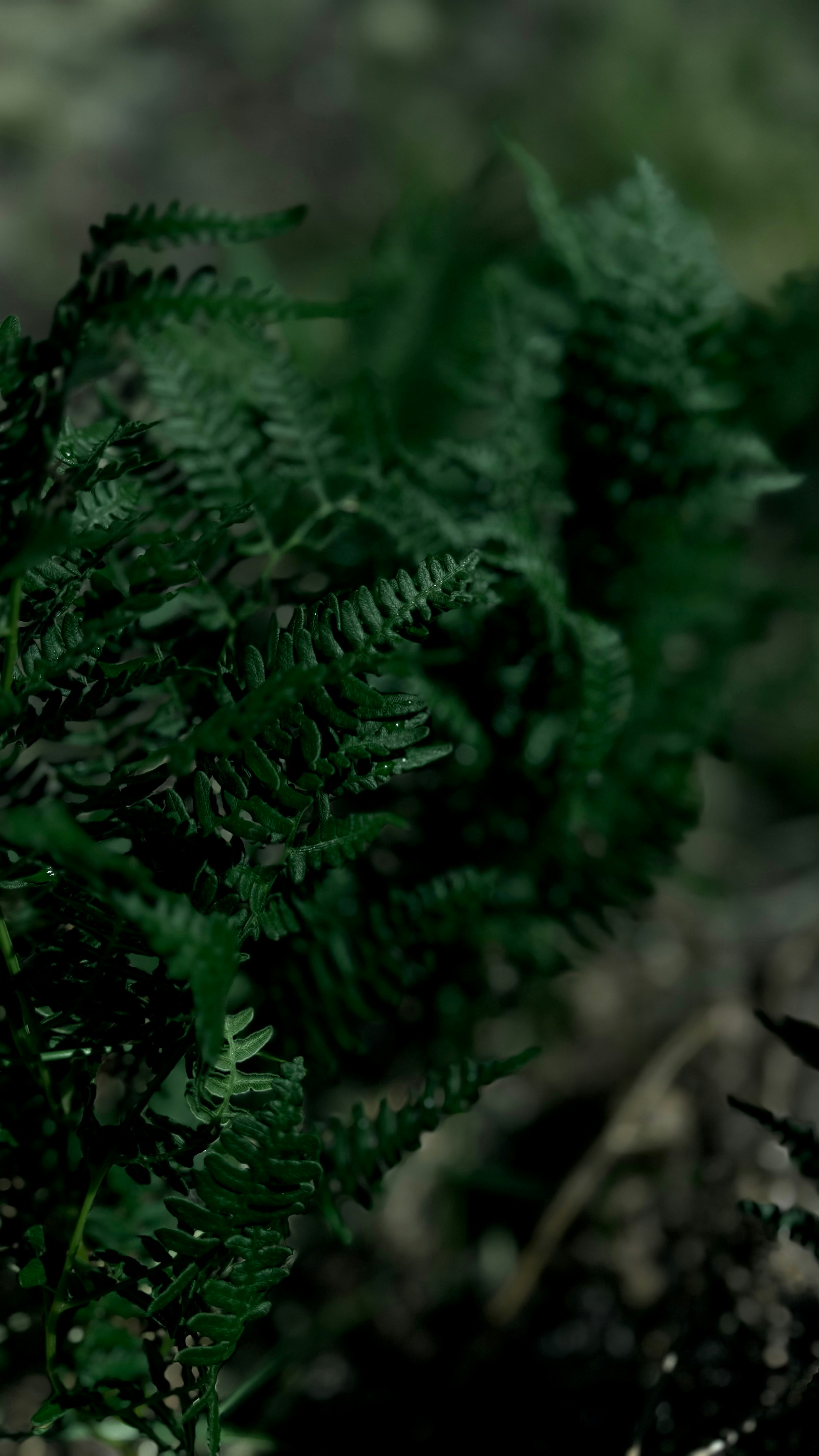 Photo by lily_jones_green