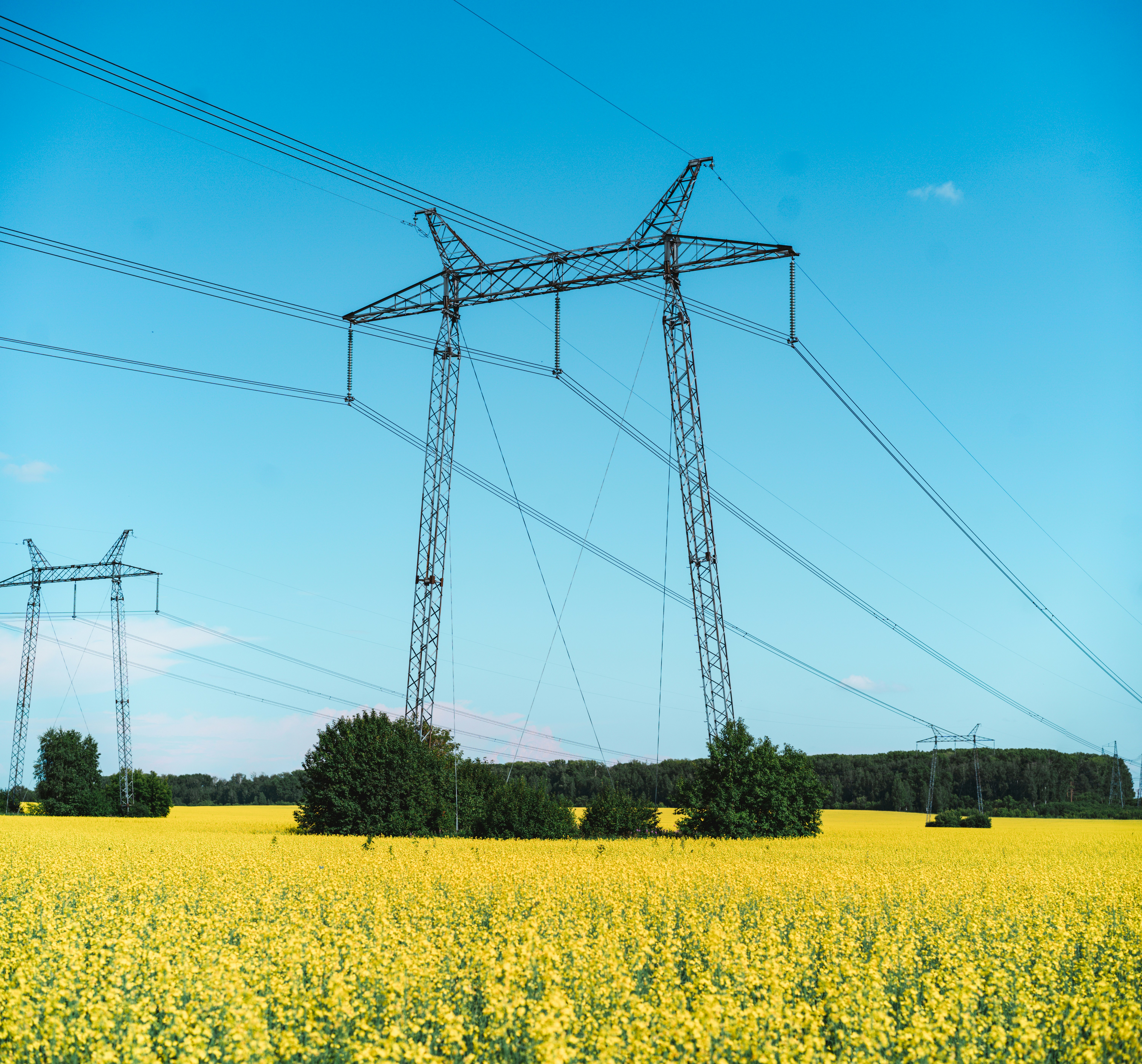 Photo by anamnesis33