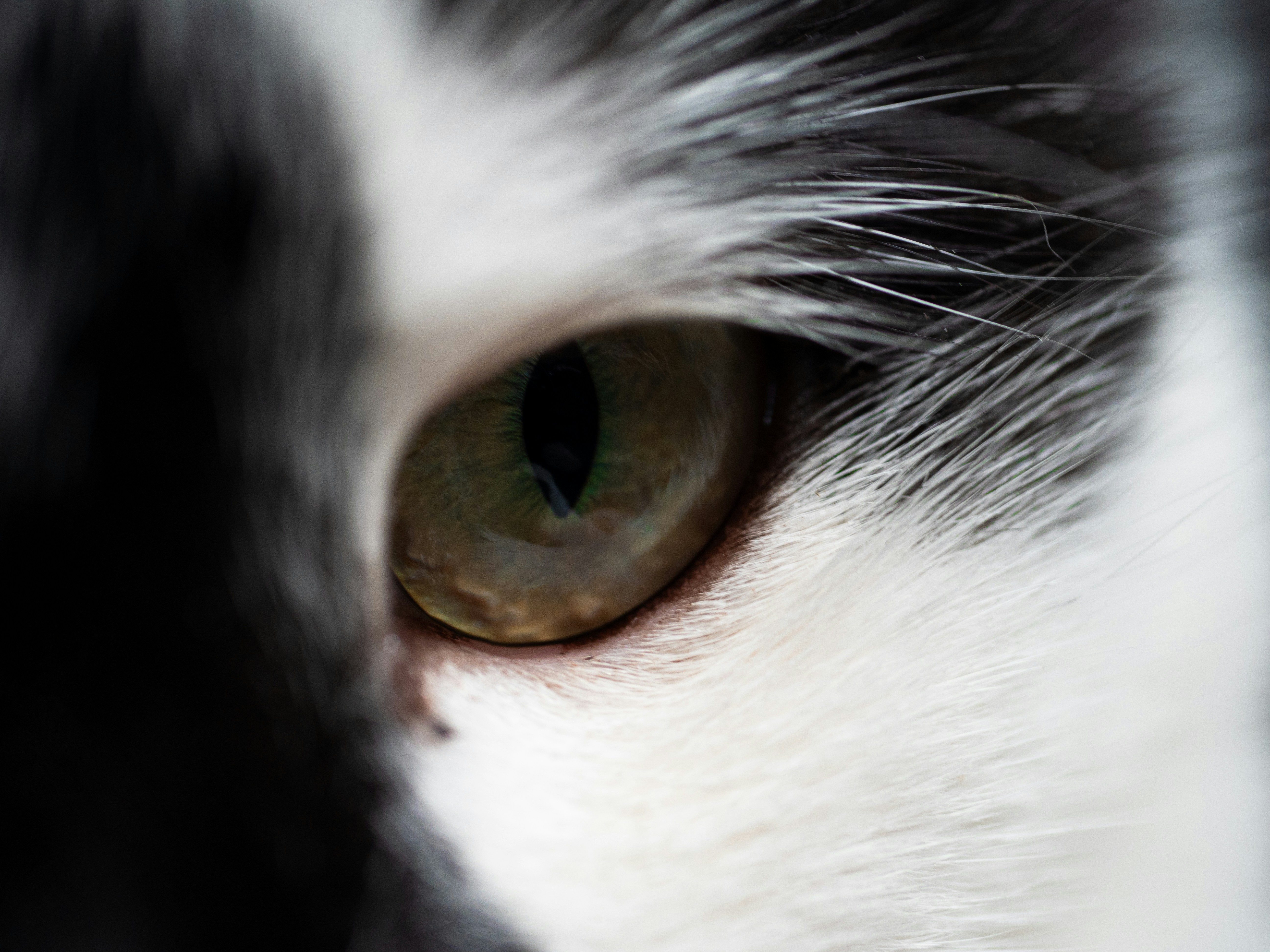 Photo by cameraobscura2000