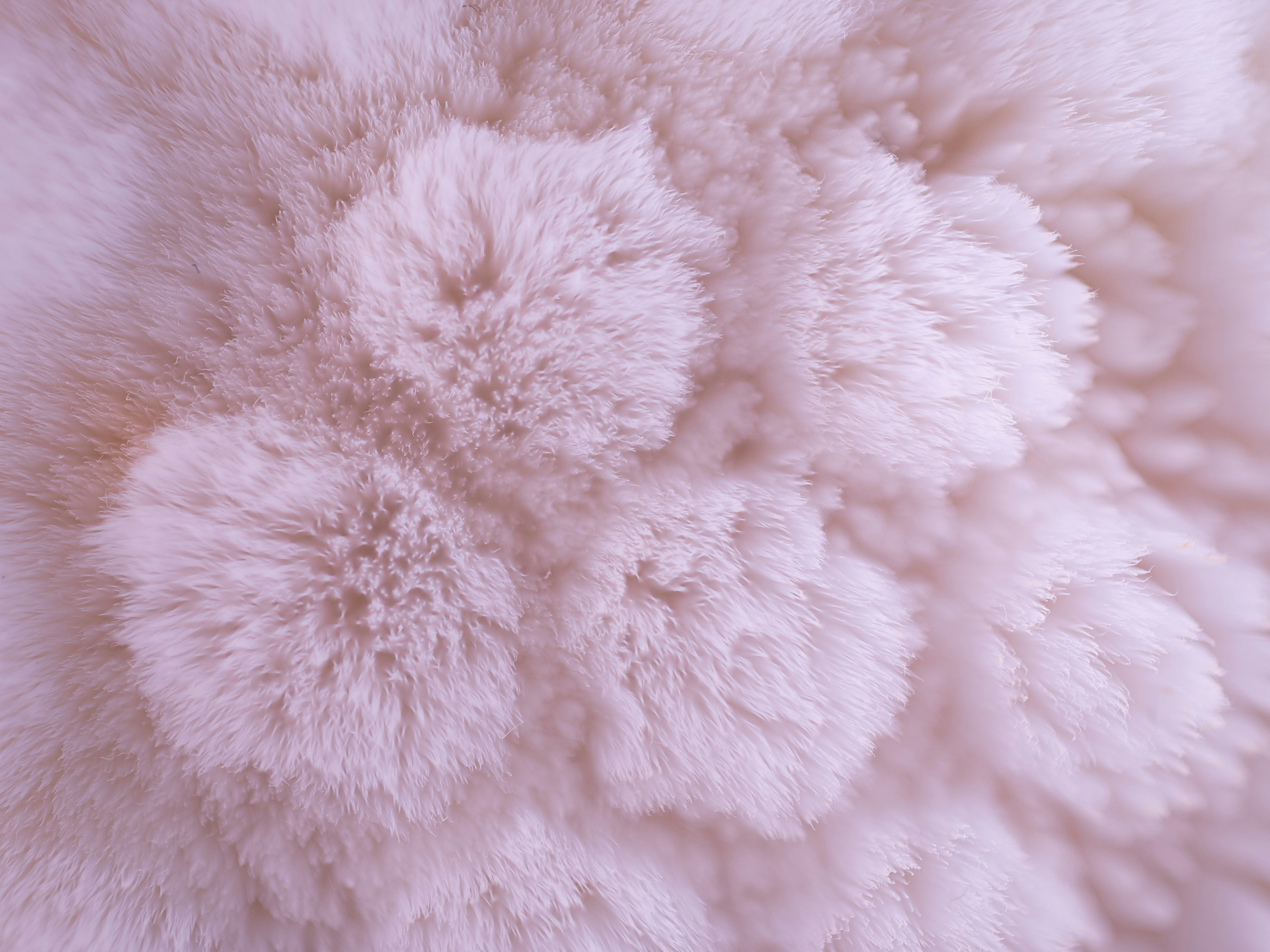 Photo by cameraobscura2000