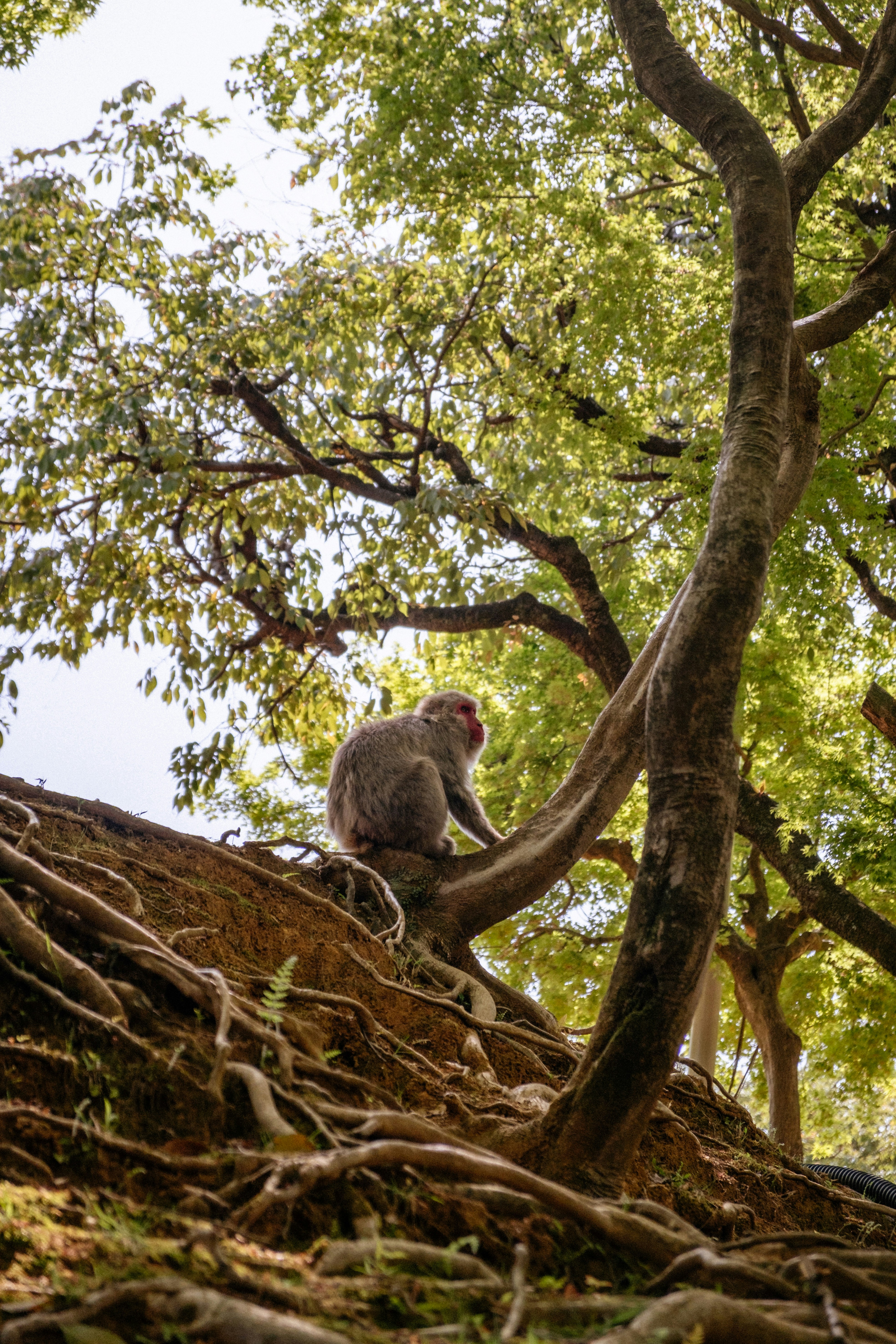 Photo by johanmouchet