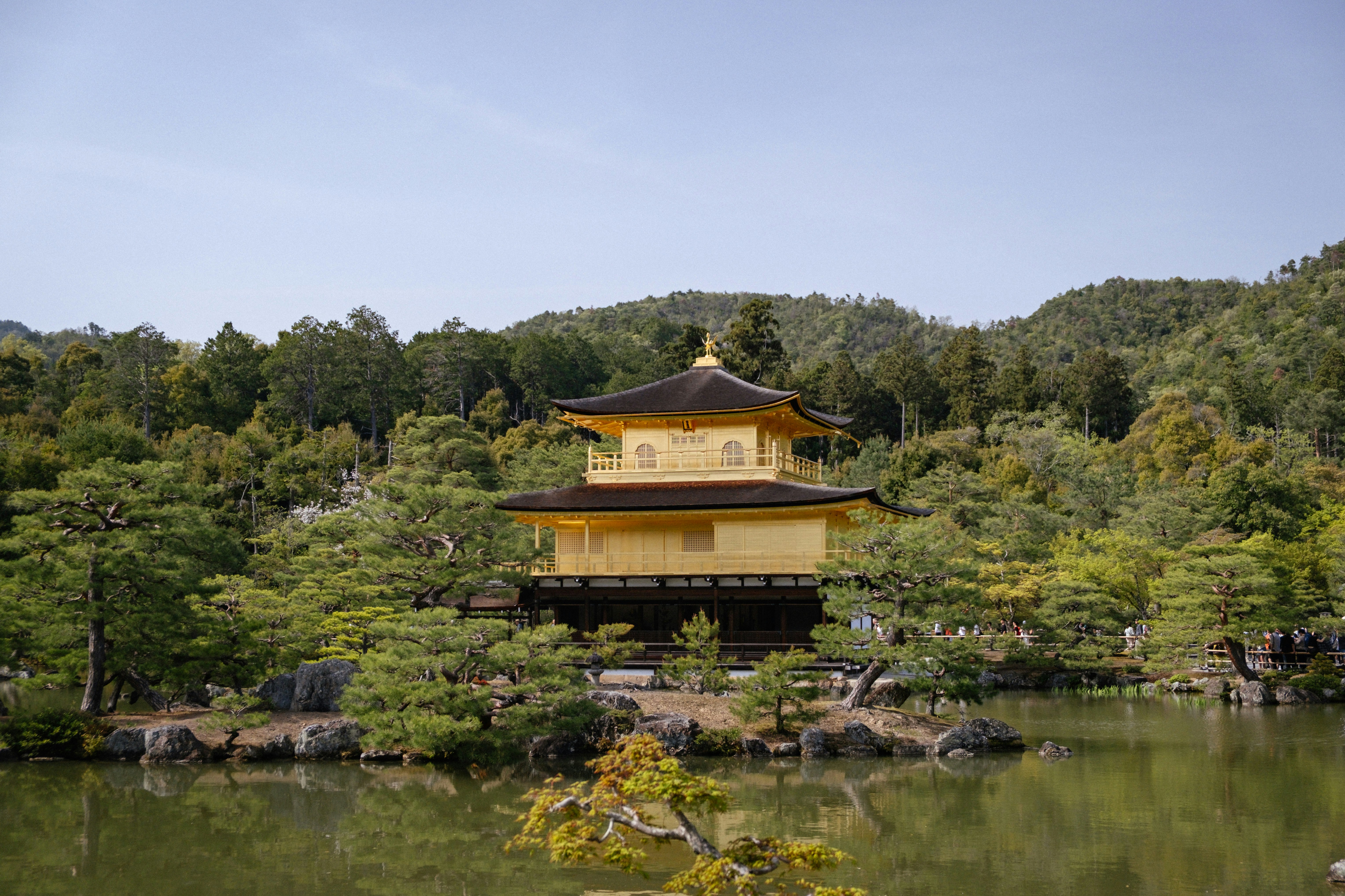 Photo by johanmouchet