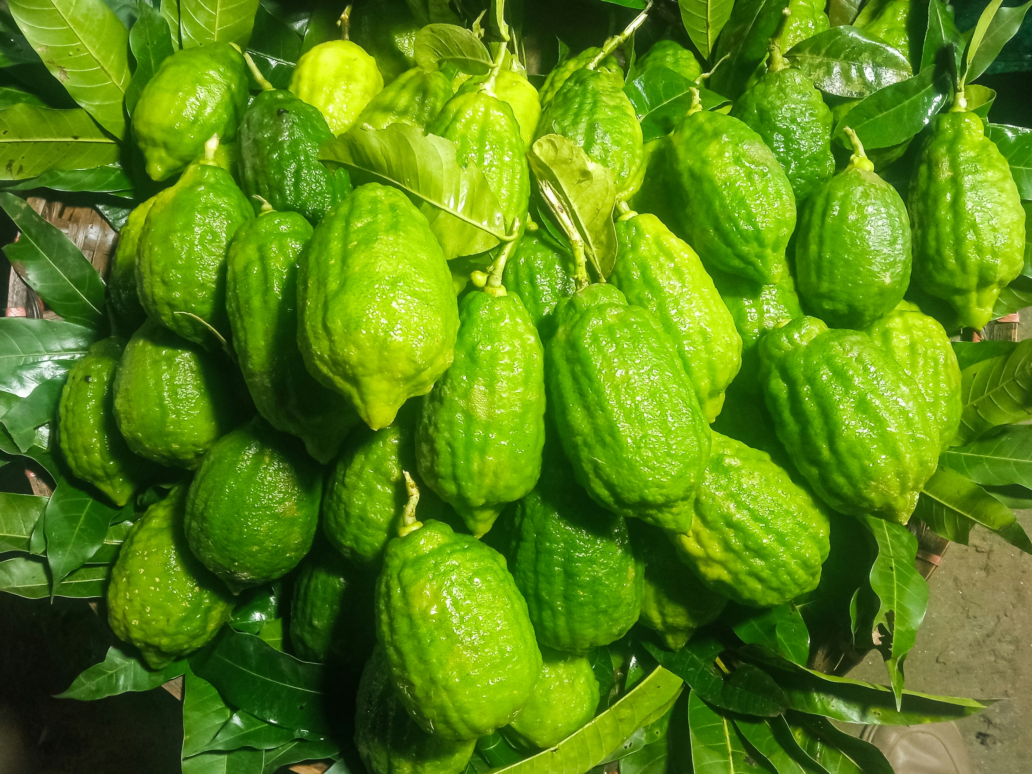 Green buddha's hand citron fruits.