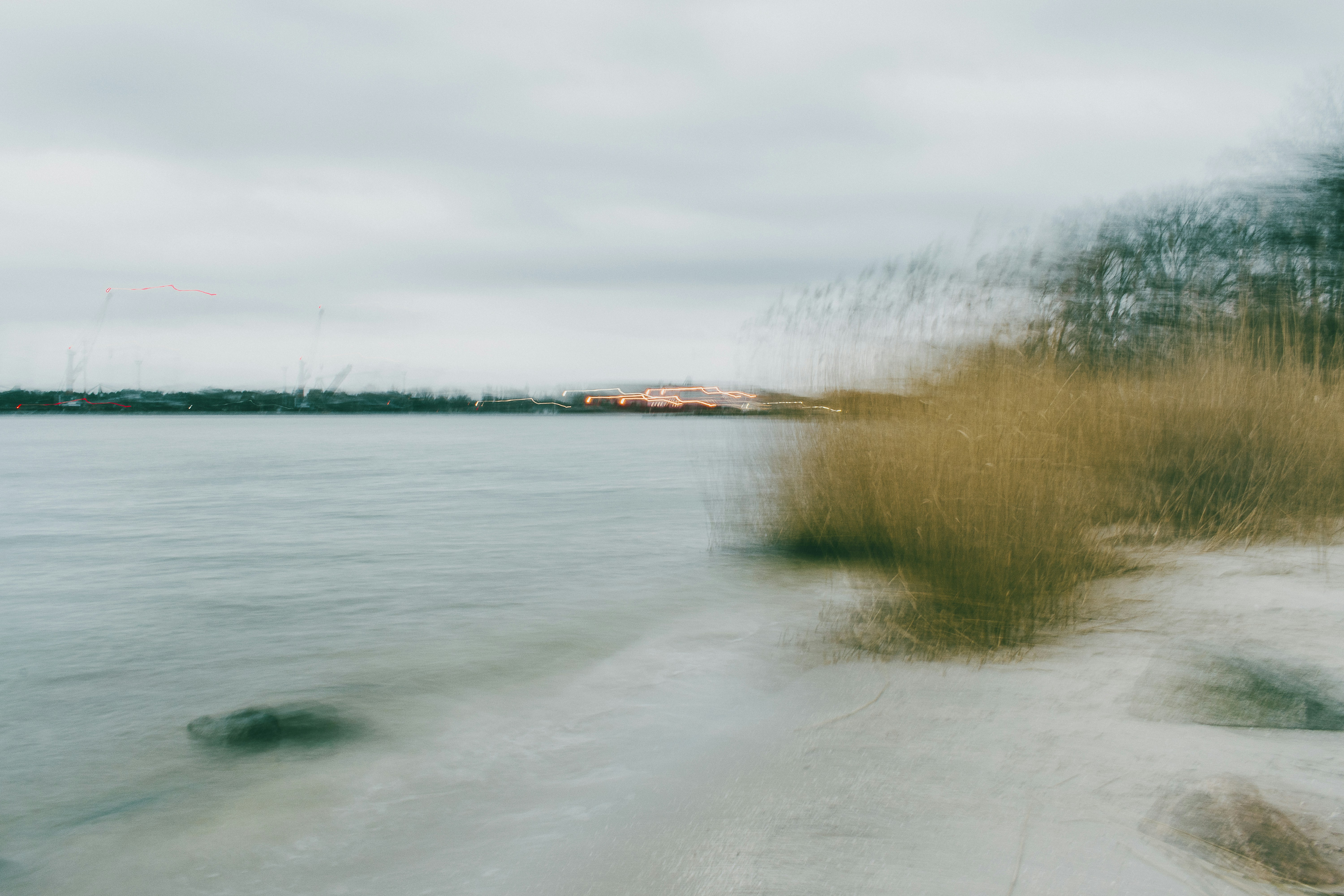 Tiro borrado de água, céu e juncos – Fotografia grátis na Unsplash