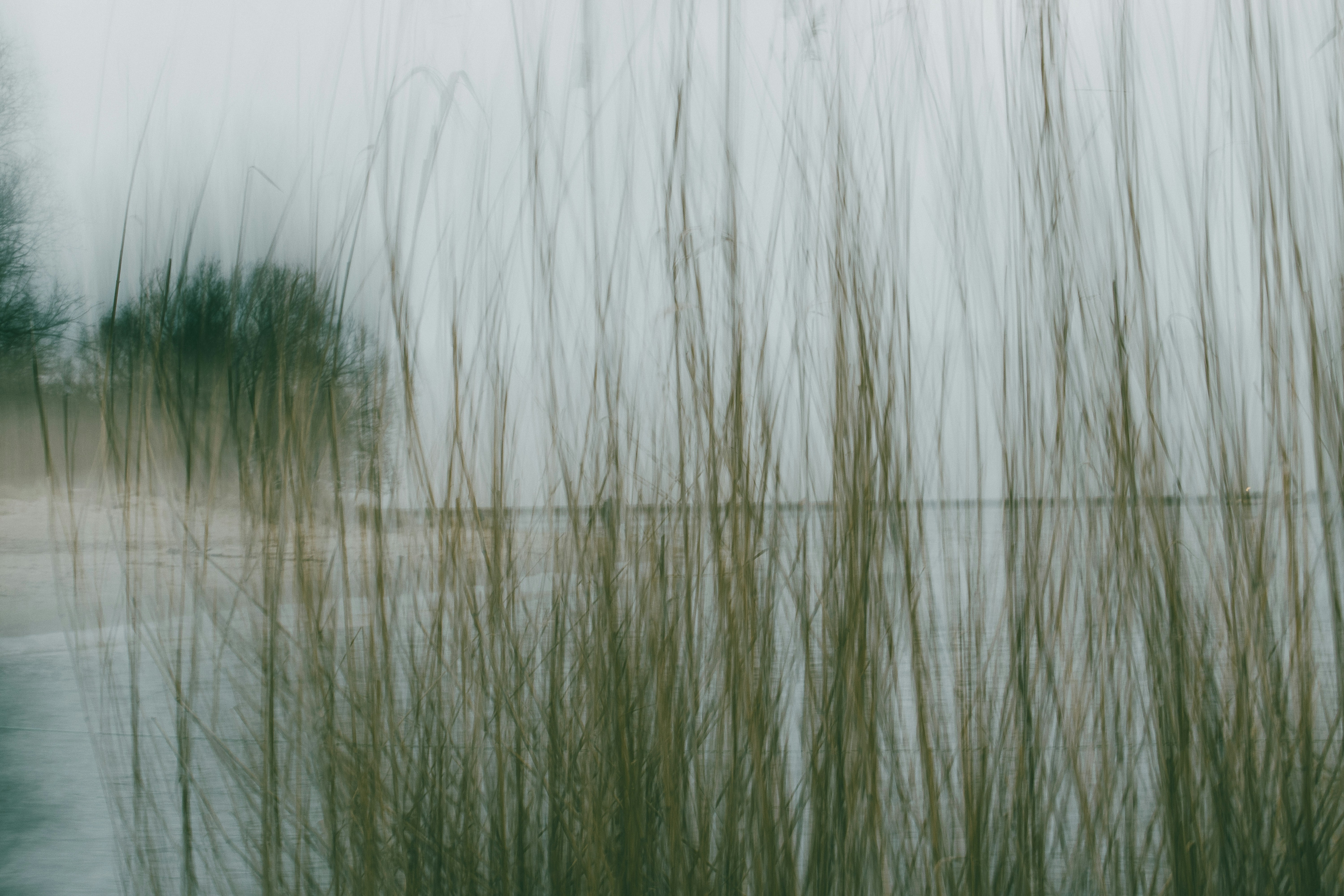 Photo by chrostowska