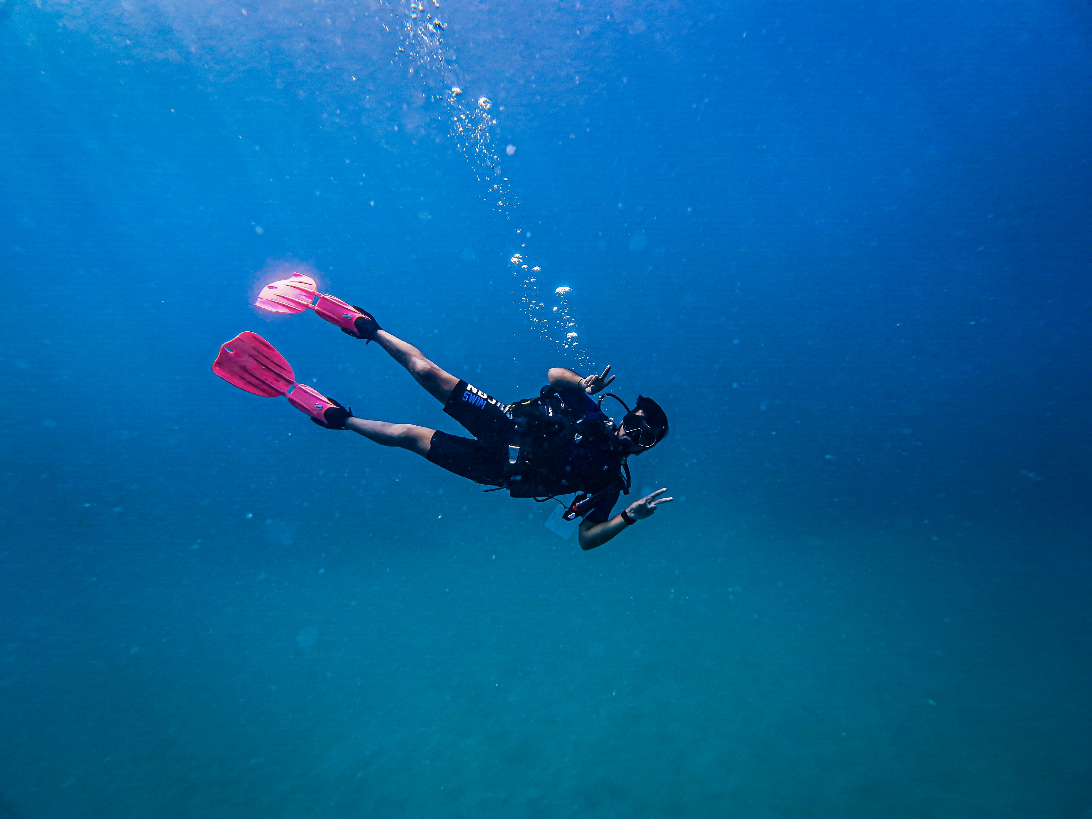 Photo by thatbangaloreanguy