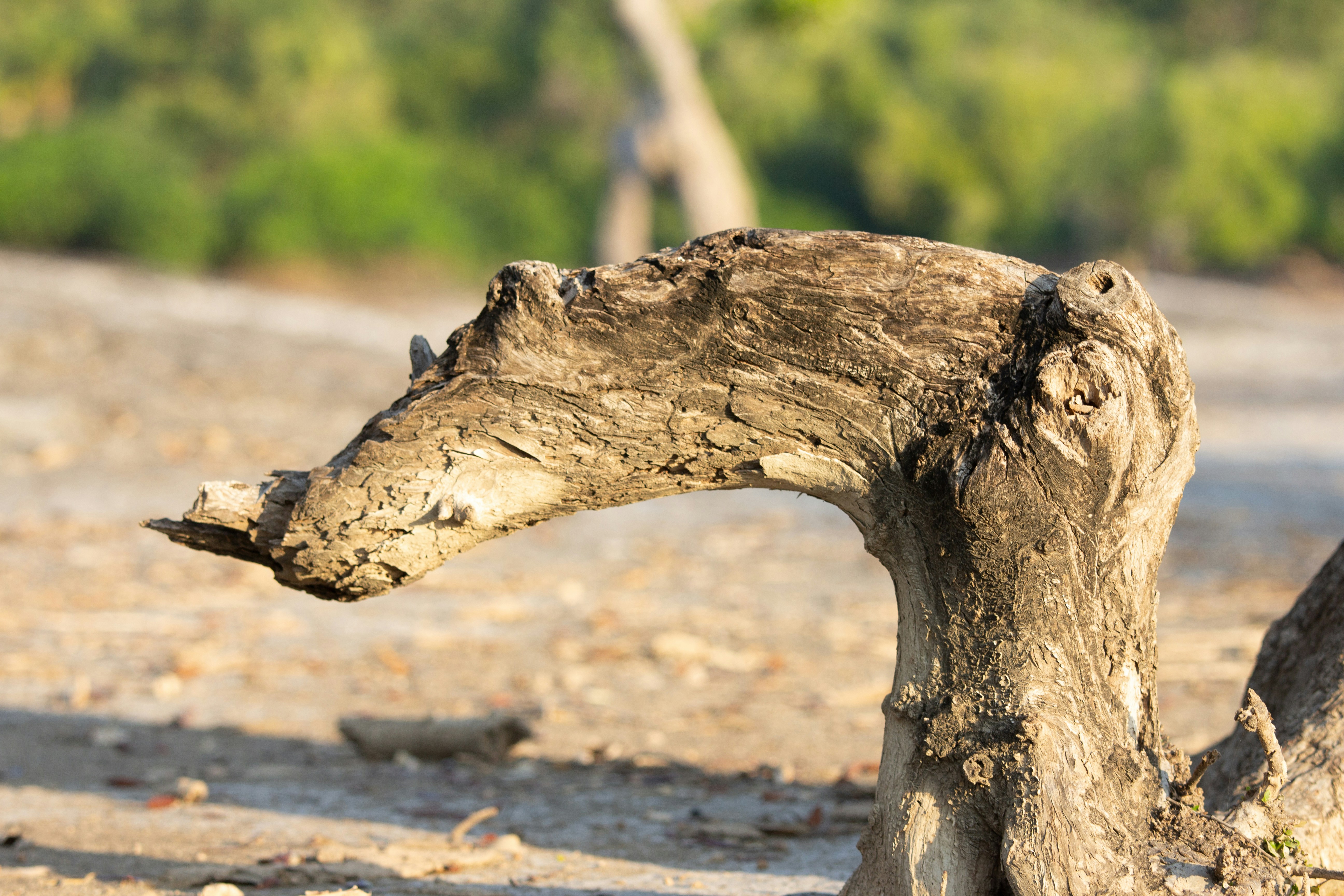 Stay online in the Timor-Leste with a prepaid eSIM from eSIMlii. Instant activation, no roaming charges, and reliable coverage.