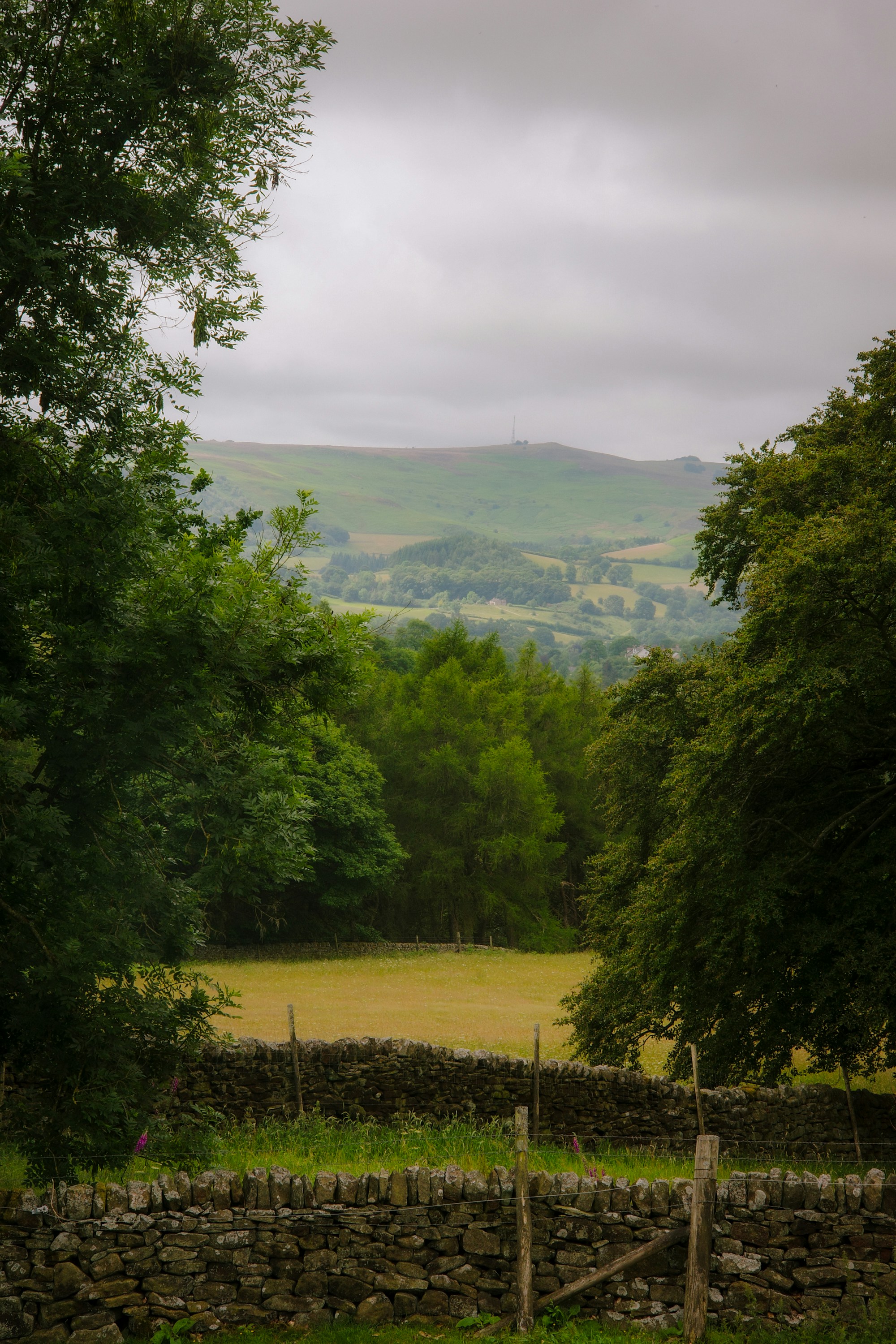 Photo by jamiekettle10