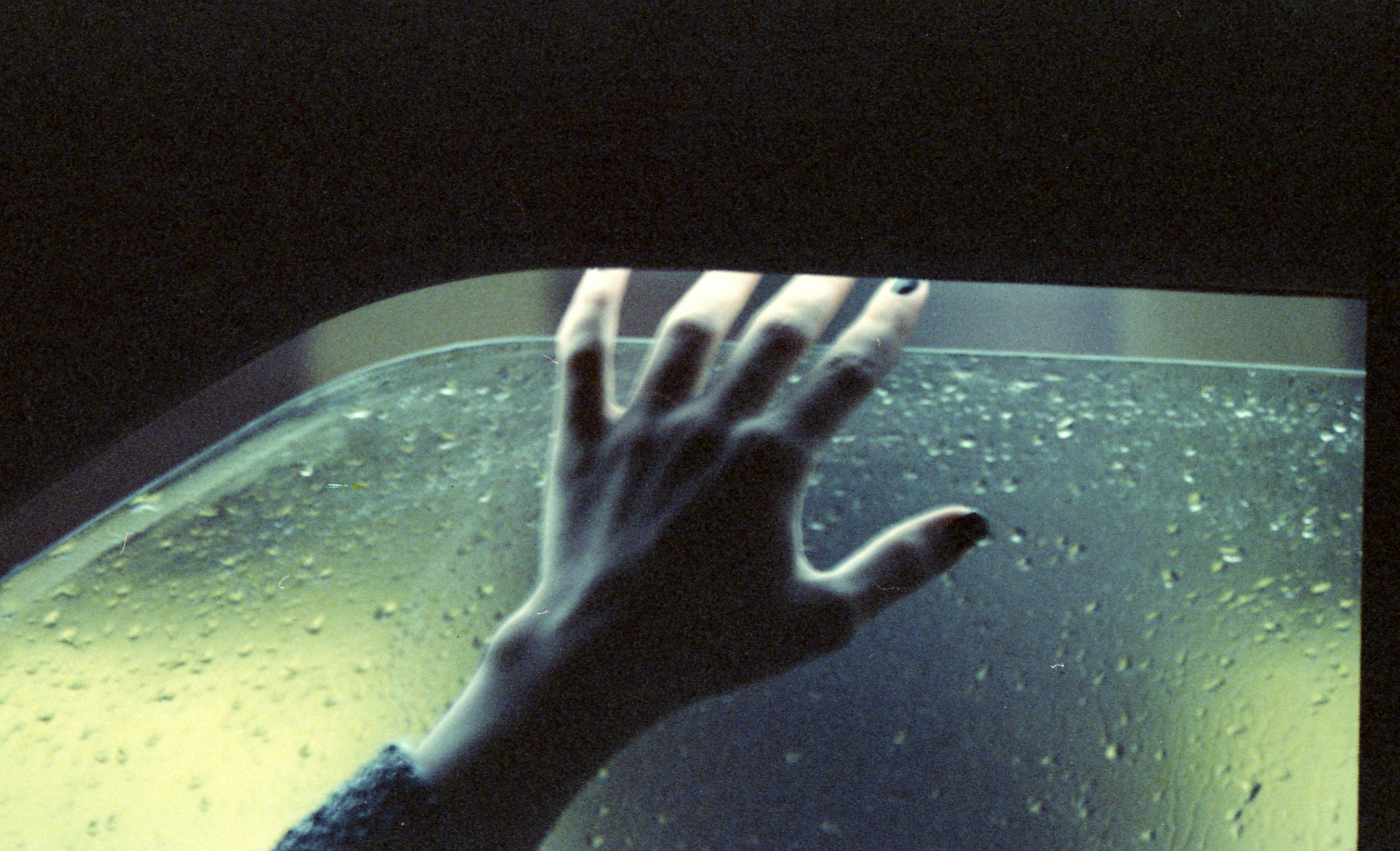 모세혈관에 좋은 음식