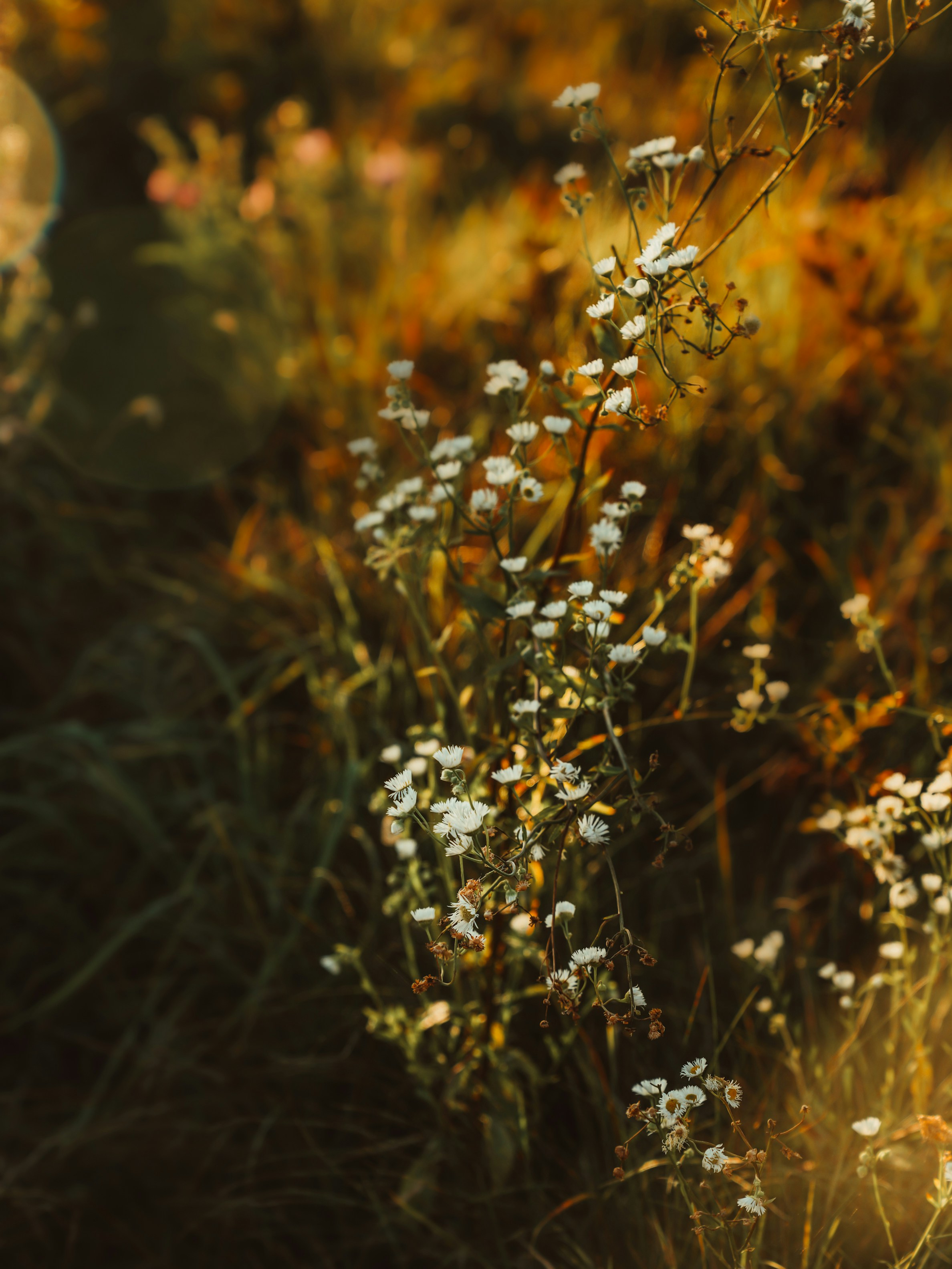 Photo by mineral_of_demon