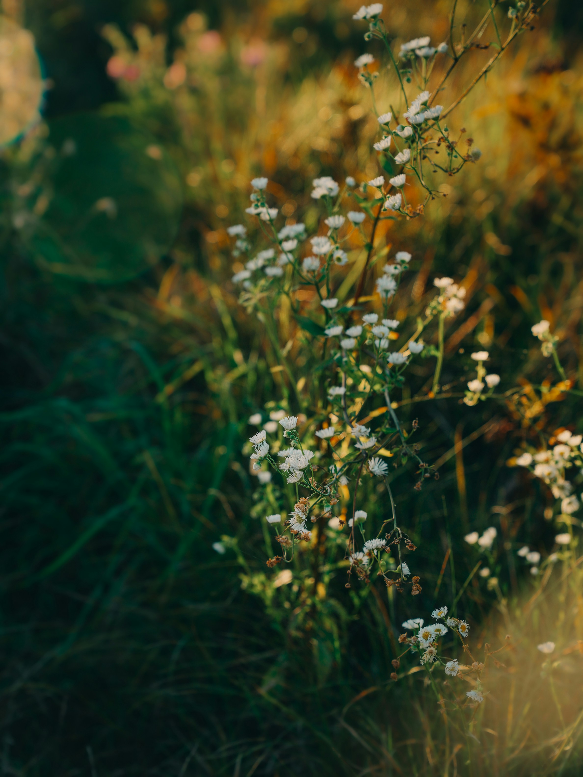 Photo by mineral_of_demon