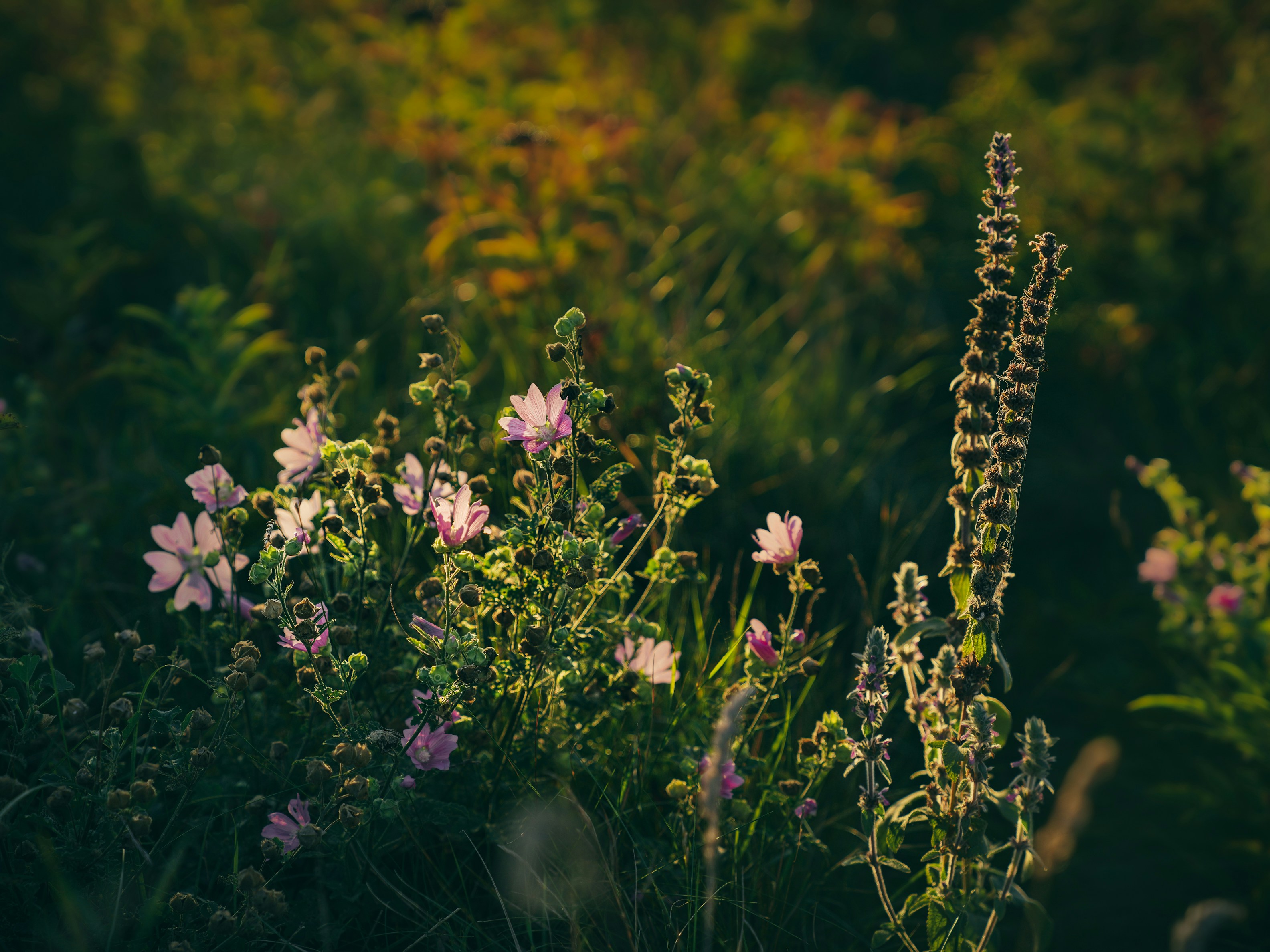 Photo by mineral_of_demon