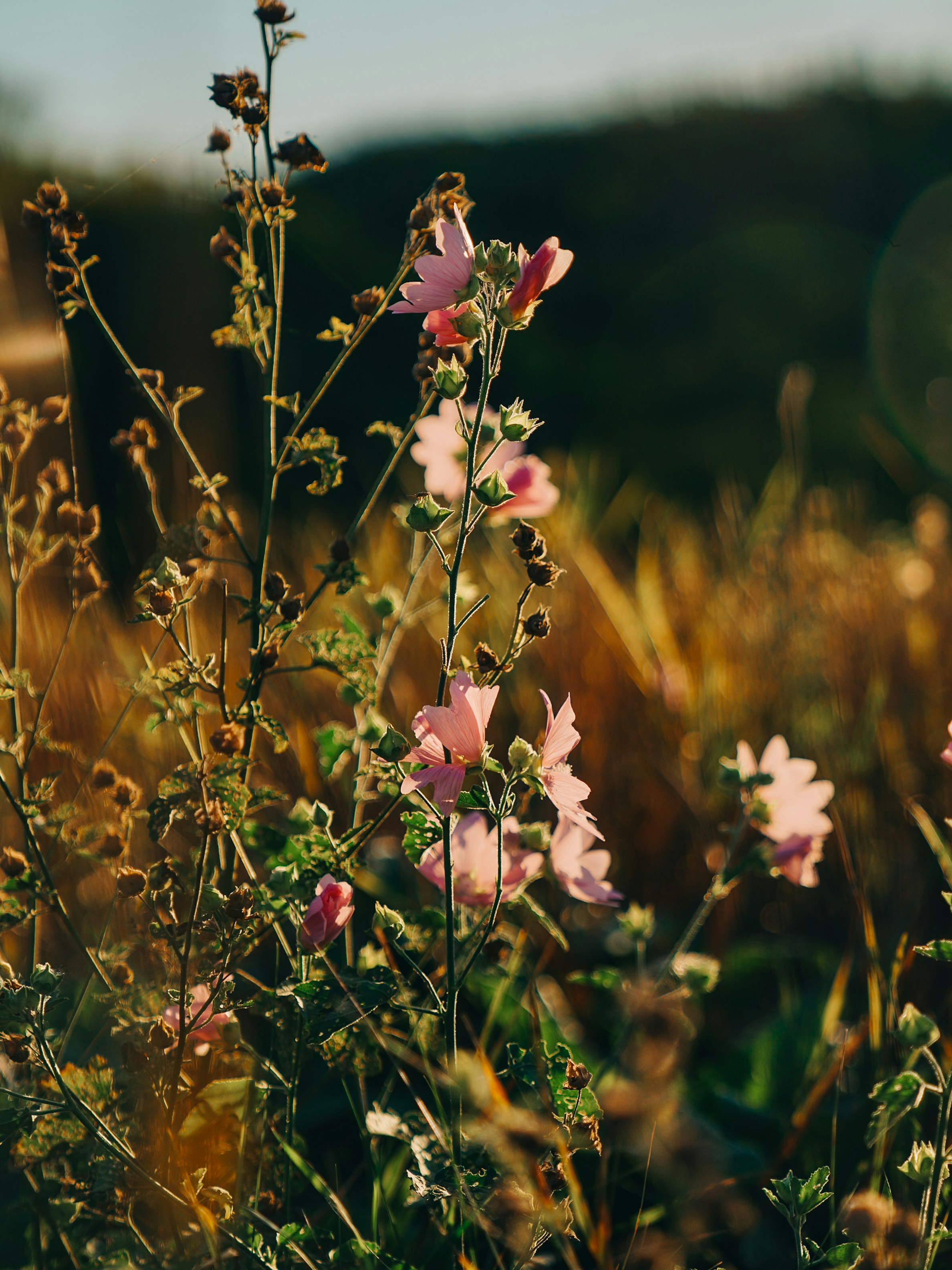 Photo by mineral_of_demon