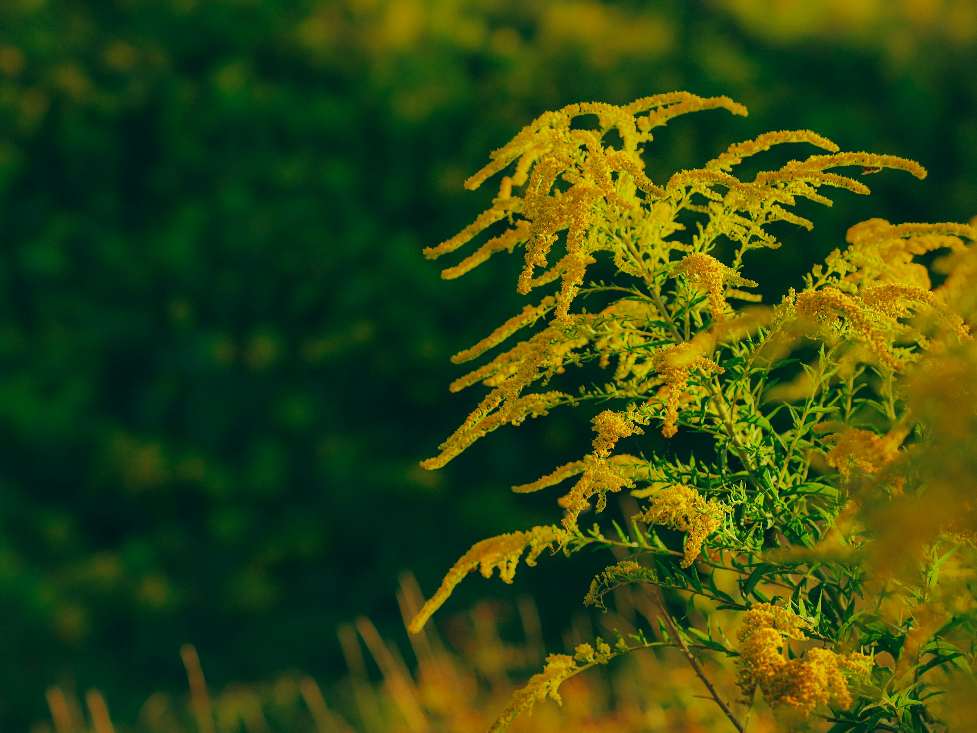 Photo by mineral_of_demon