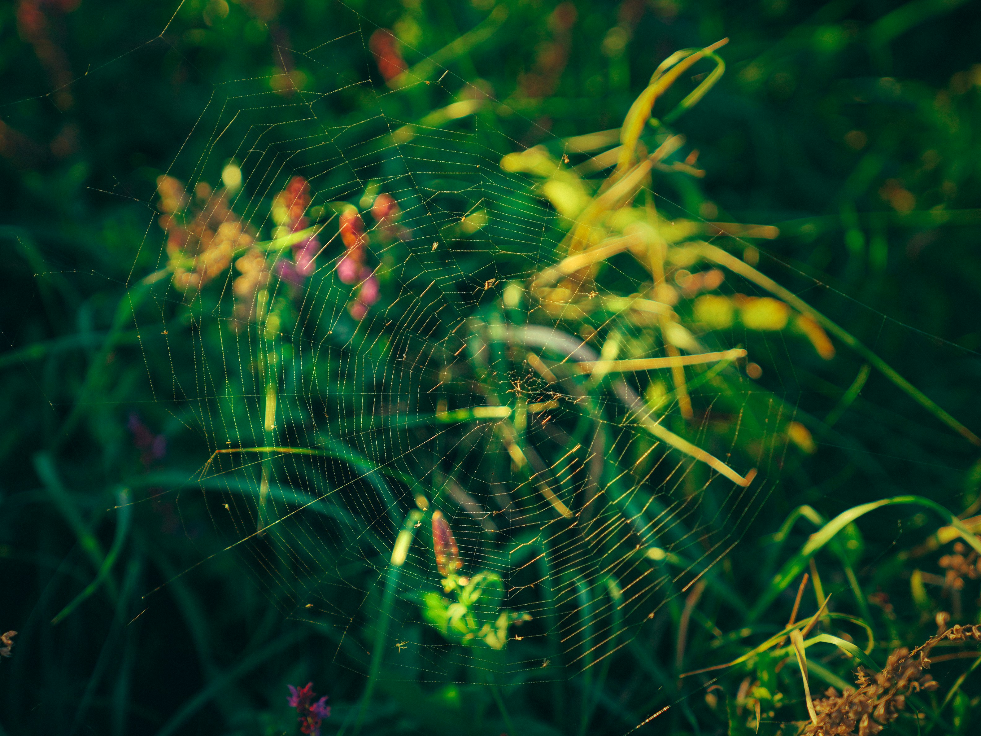 Photo by mineral_of_demon