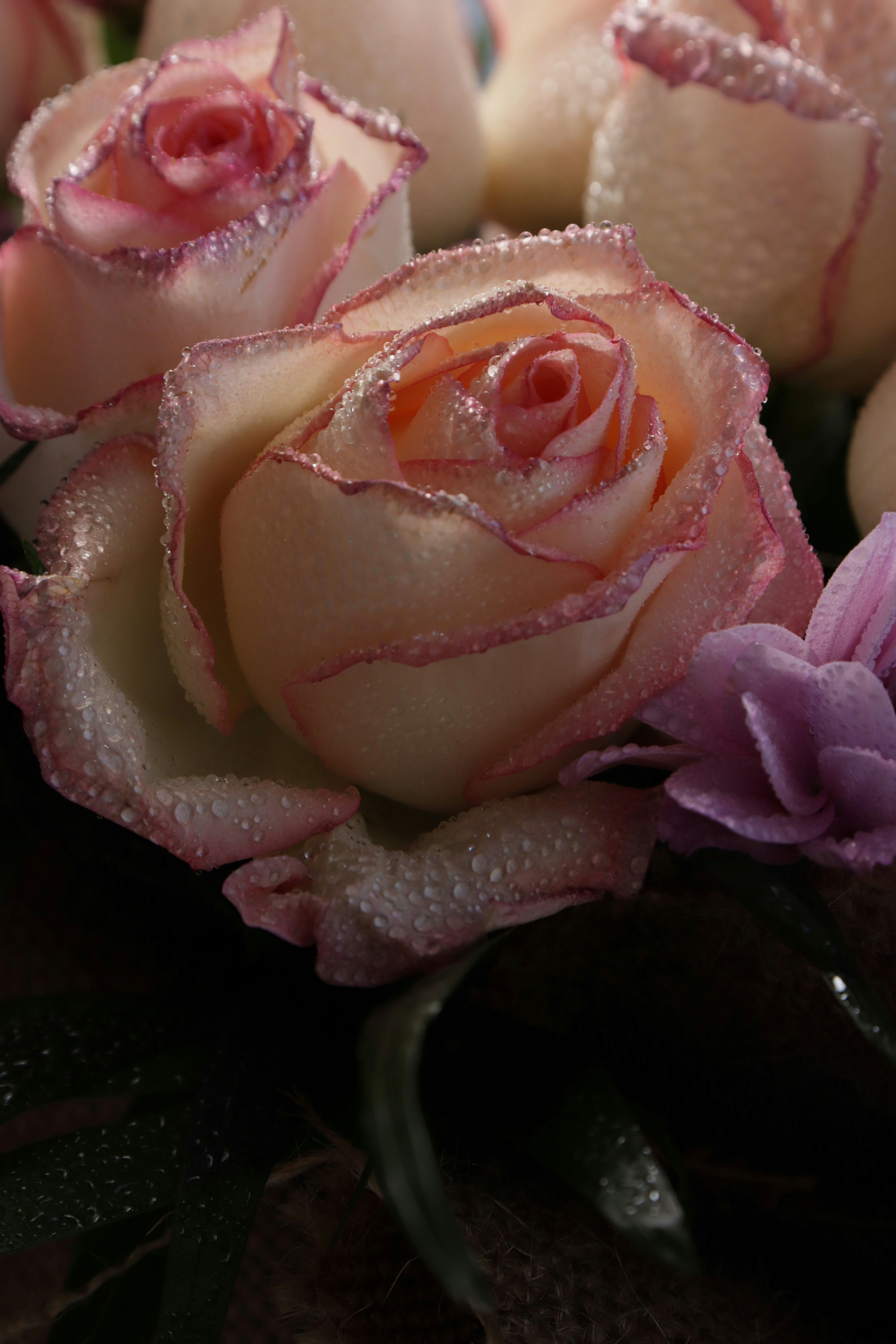 Photo by bored_mongoose