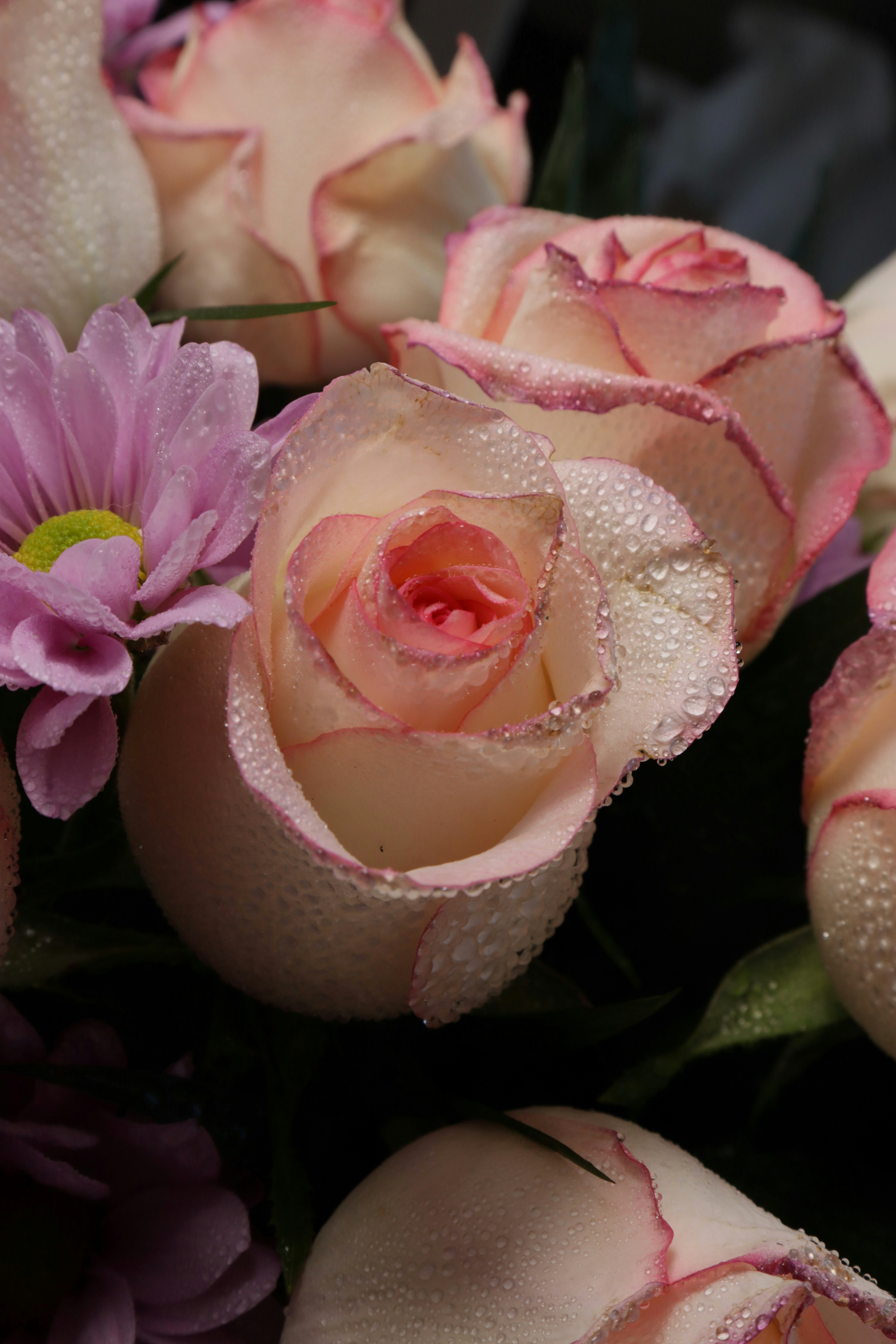 Photo by bored_mongoose