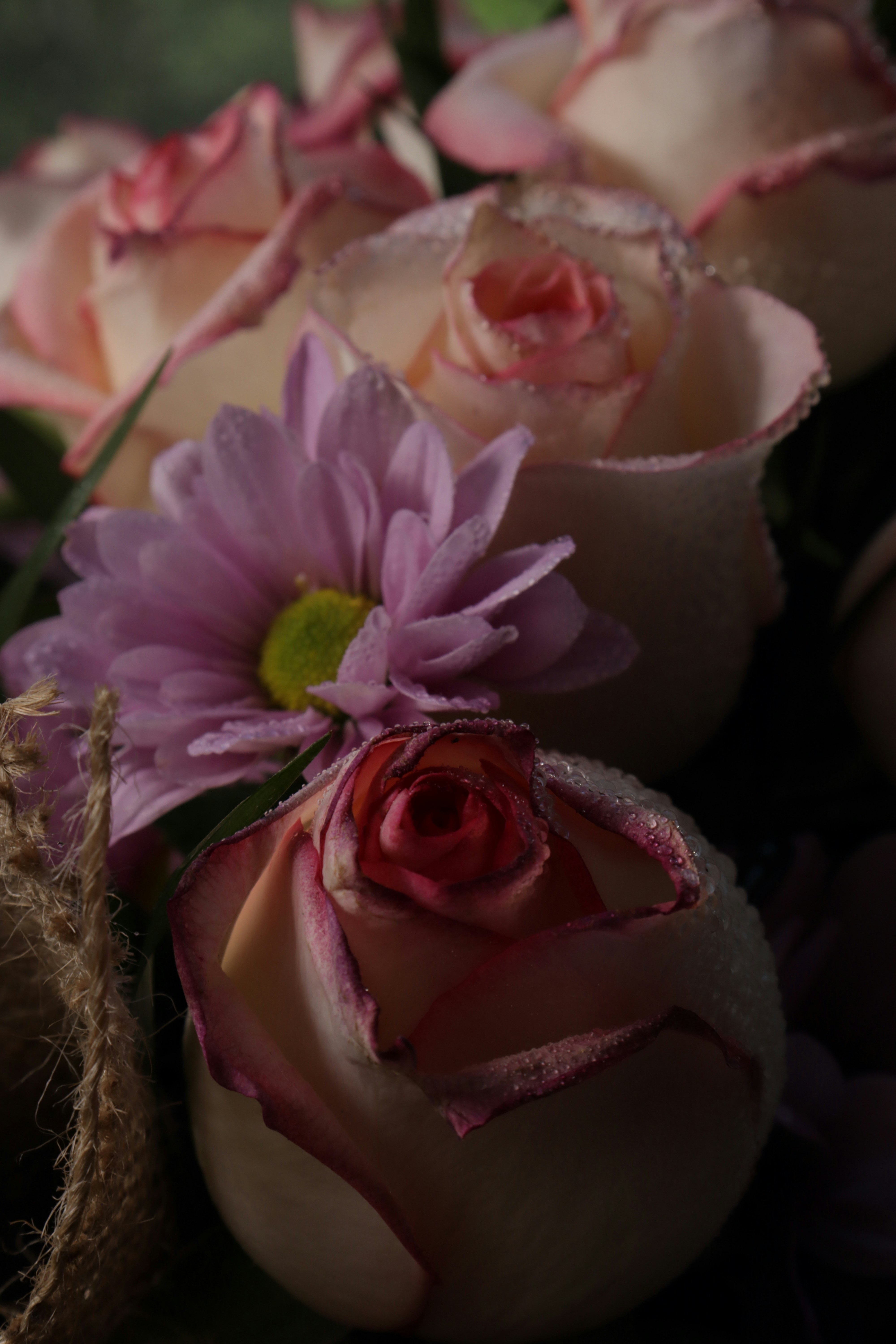 Photo by bored_mongoose