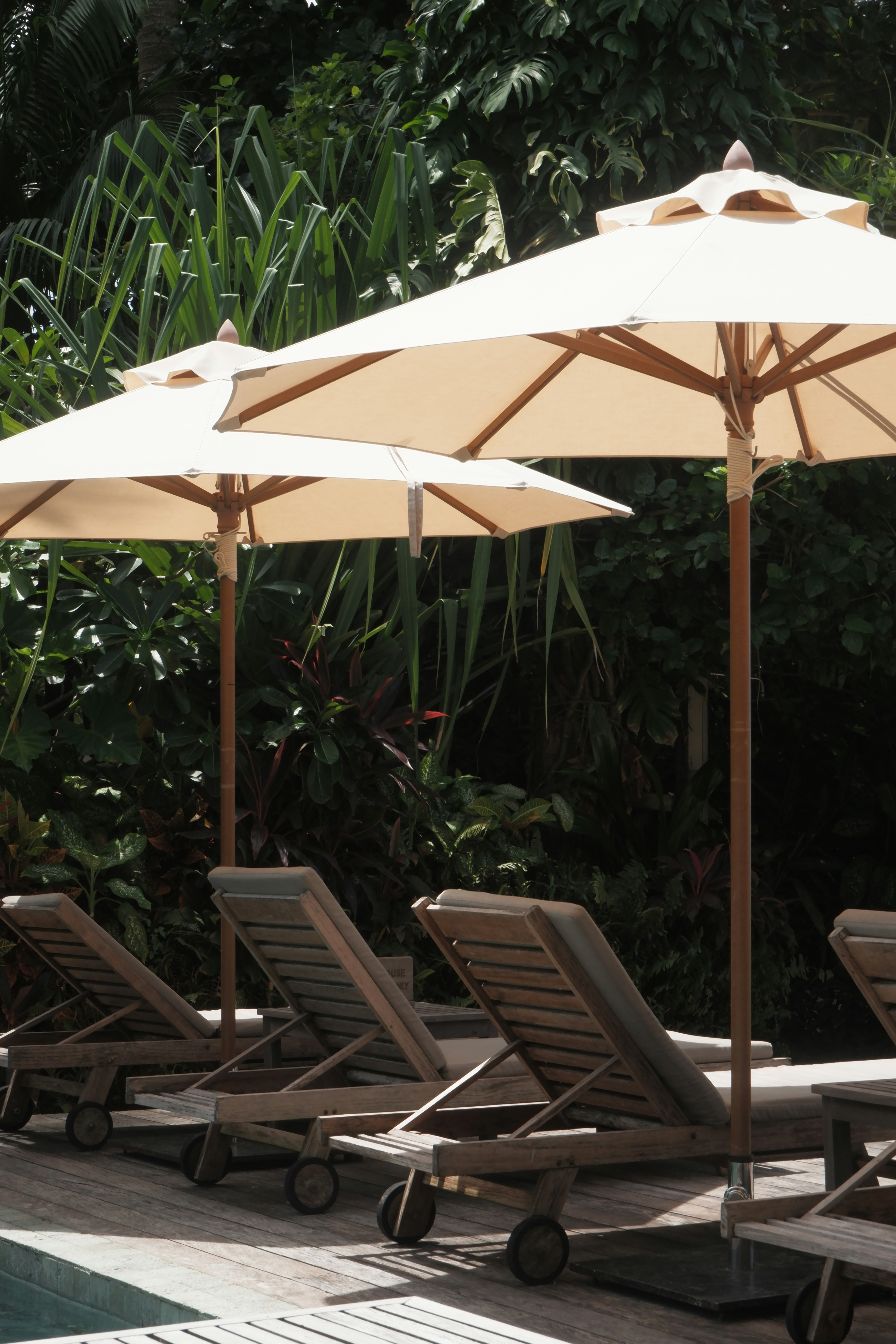 Photo by harveyenrile