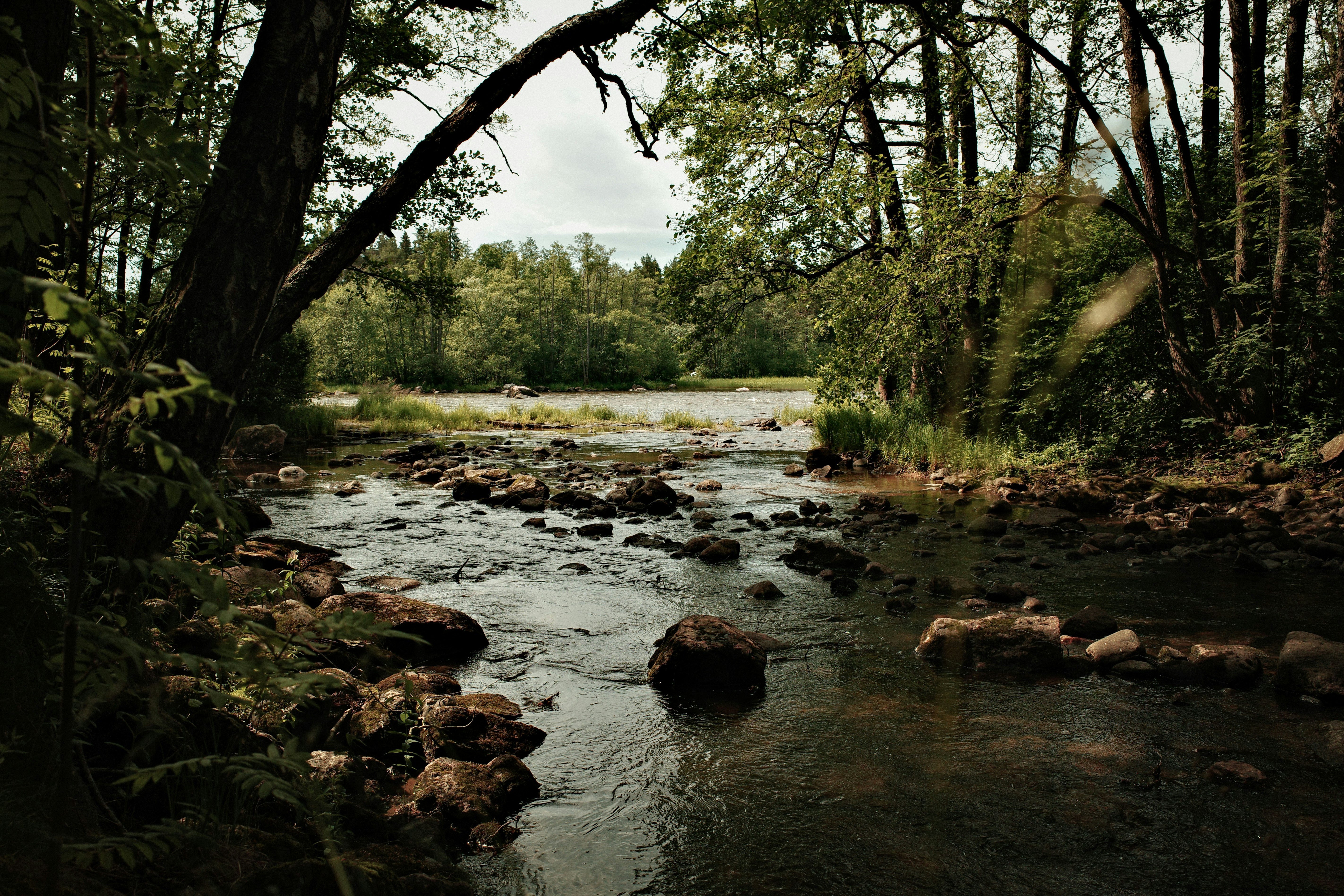 Photo by janifreelancing