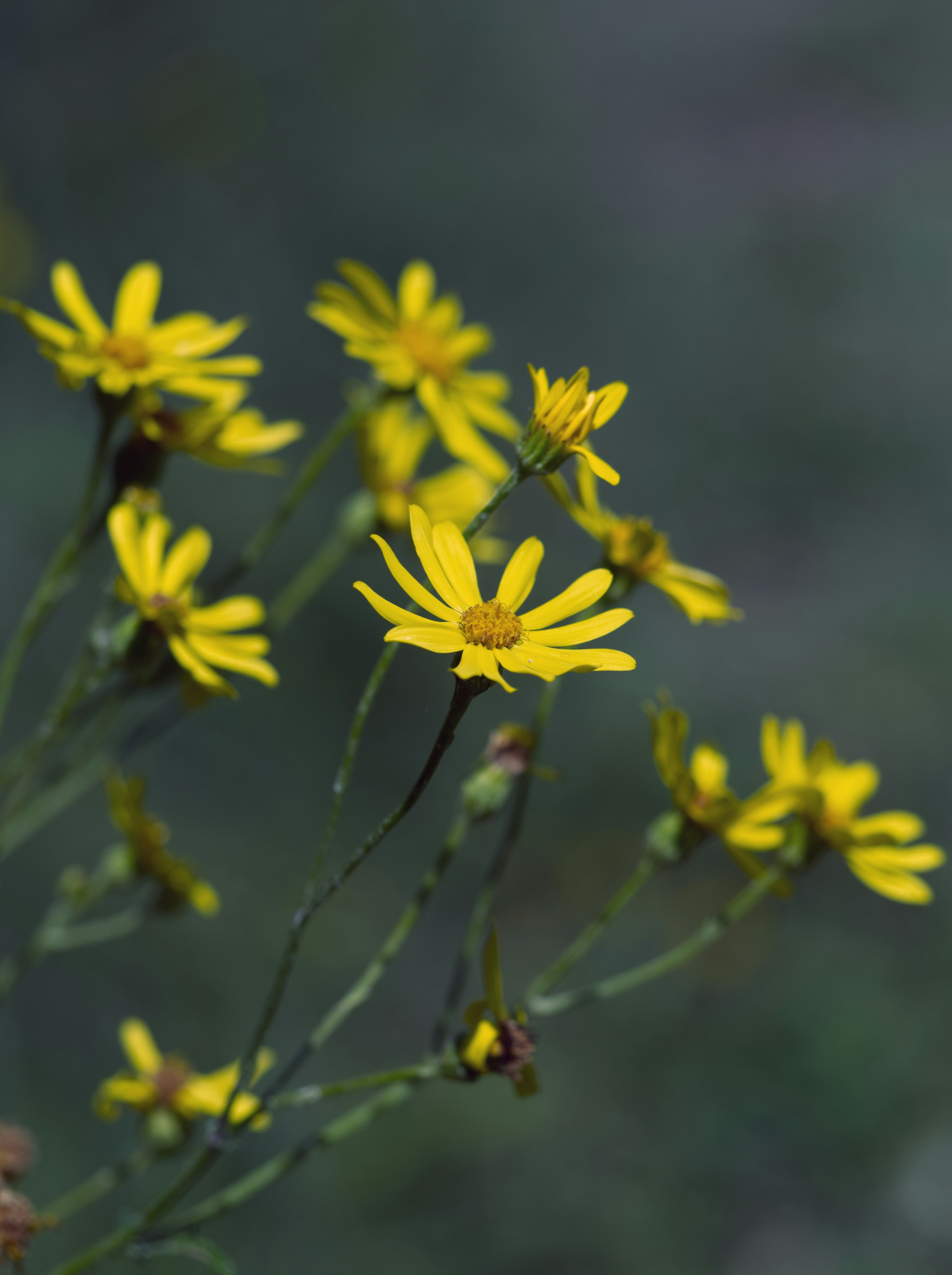 Photo by theskytales